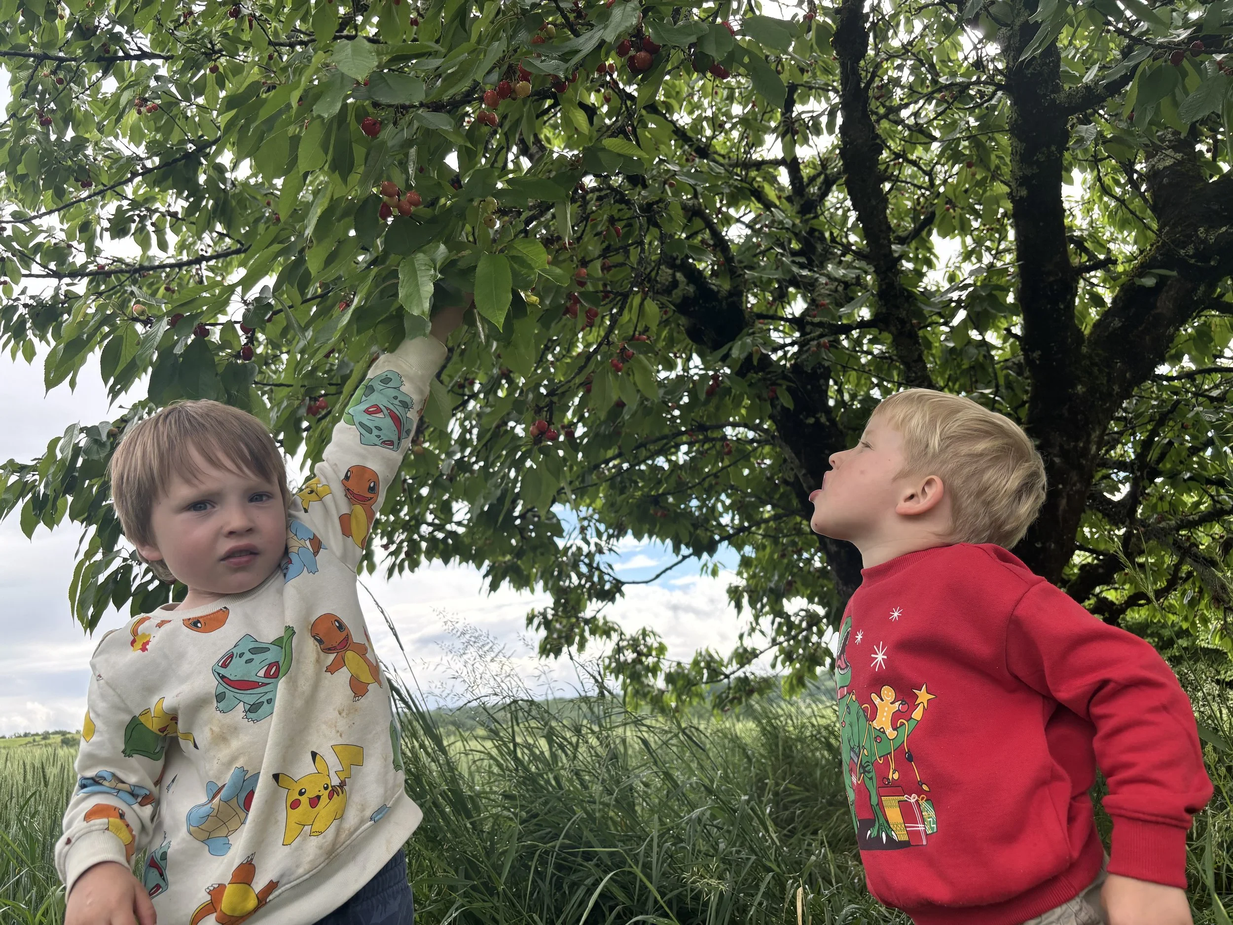 IMG_2051.jpeg