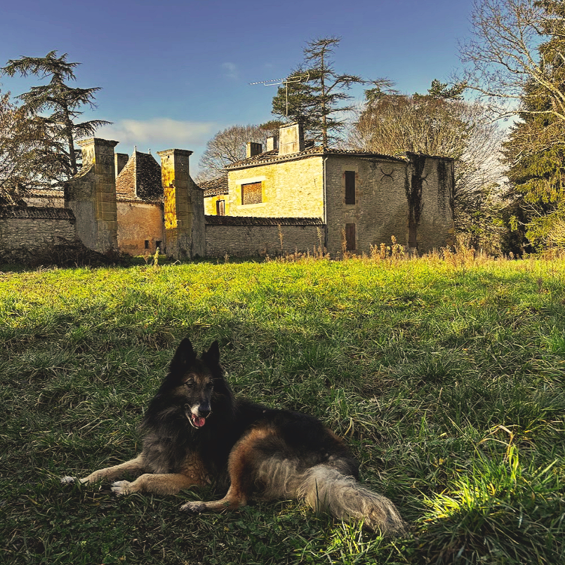 Een ruïne kopen in Frankrijk: waar je op moet letten