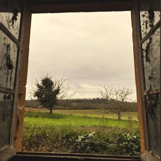 Een ruïne kopen in Frankrijk: het begin van Domaine de Montfage