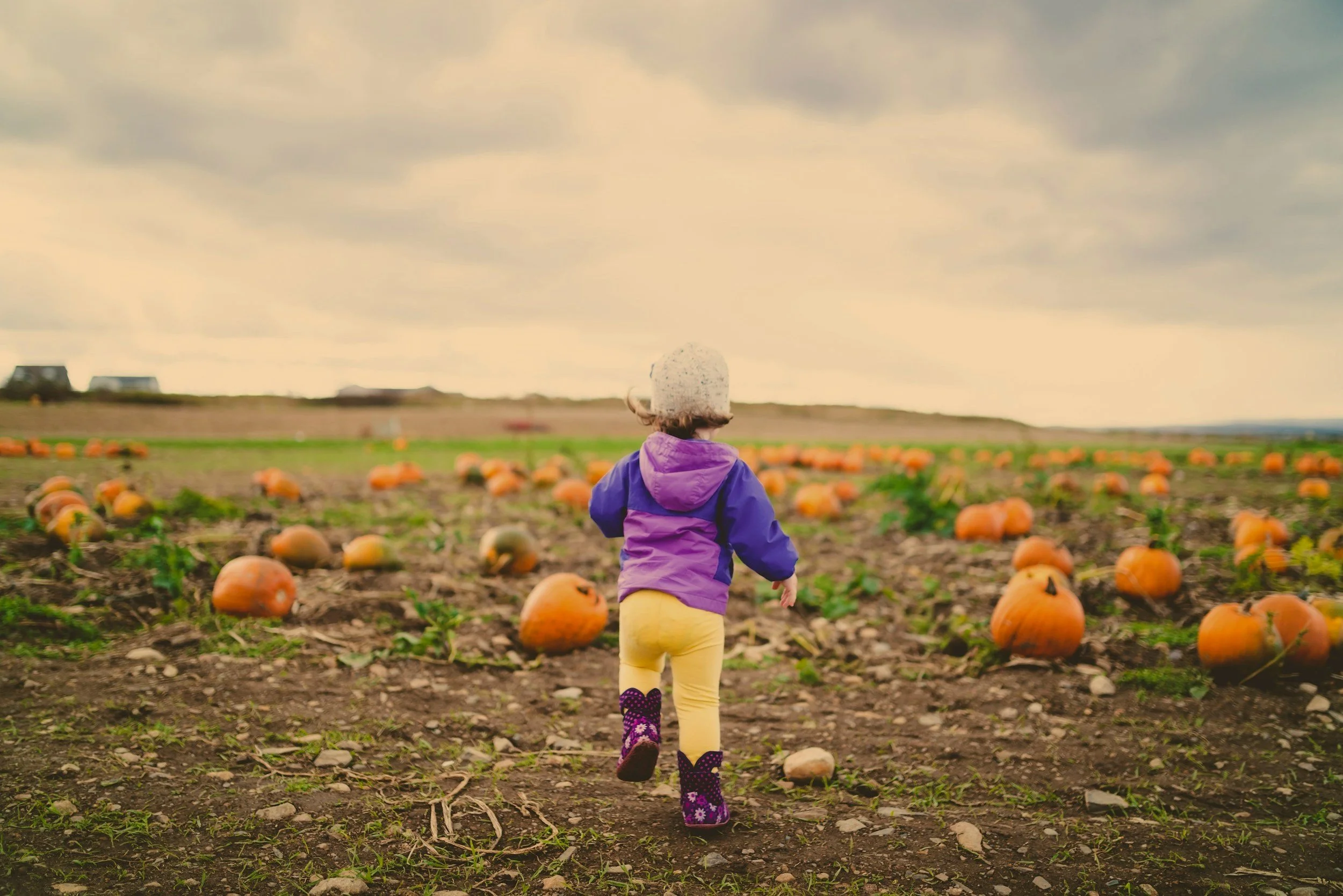 Verhuizen naar Frankrijk met kinderen: onze tips en ervaringen