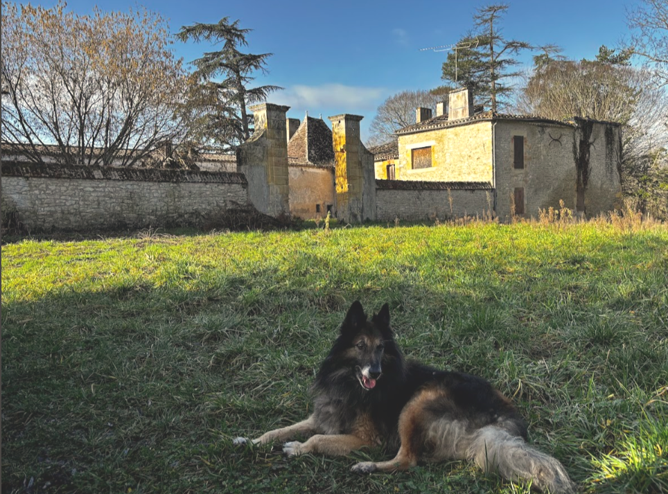 Franse regels bij verbouwen: wat nu geldt en wat later komt