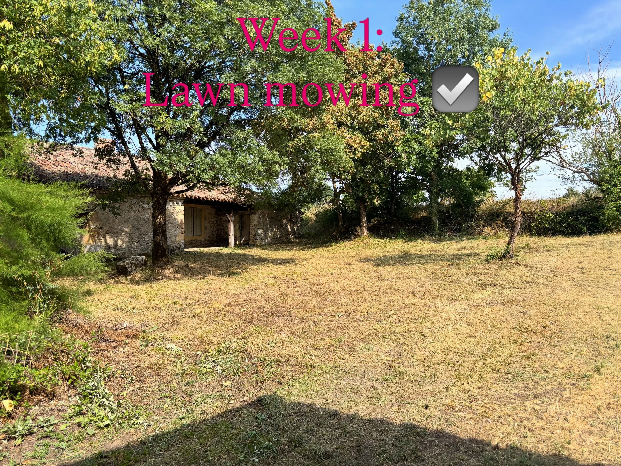 Our first week at Montfage: what did we do? #frenchrenovation #montfage #monflanquin #renovatie #emigreren