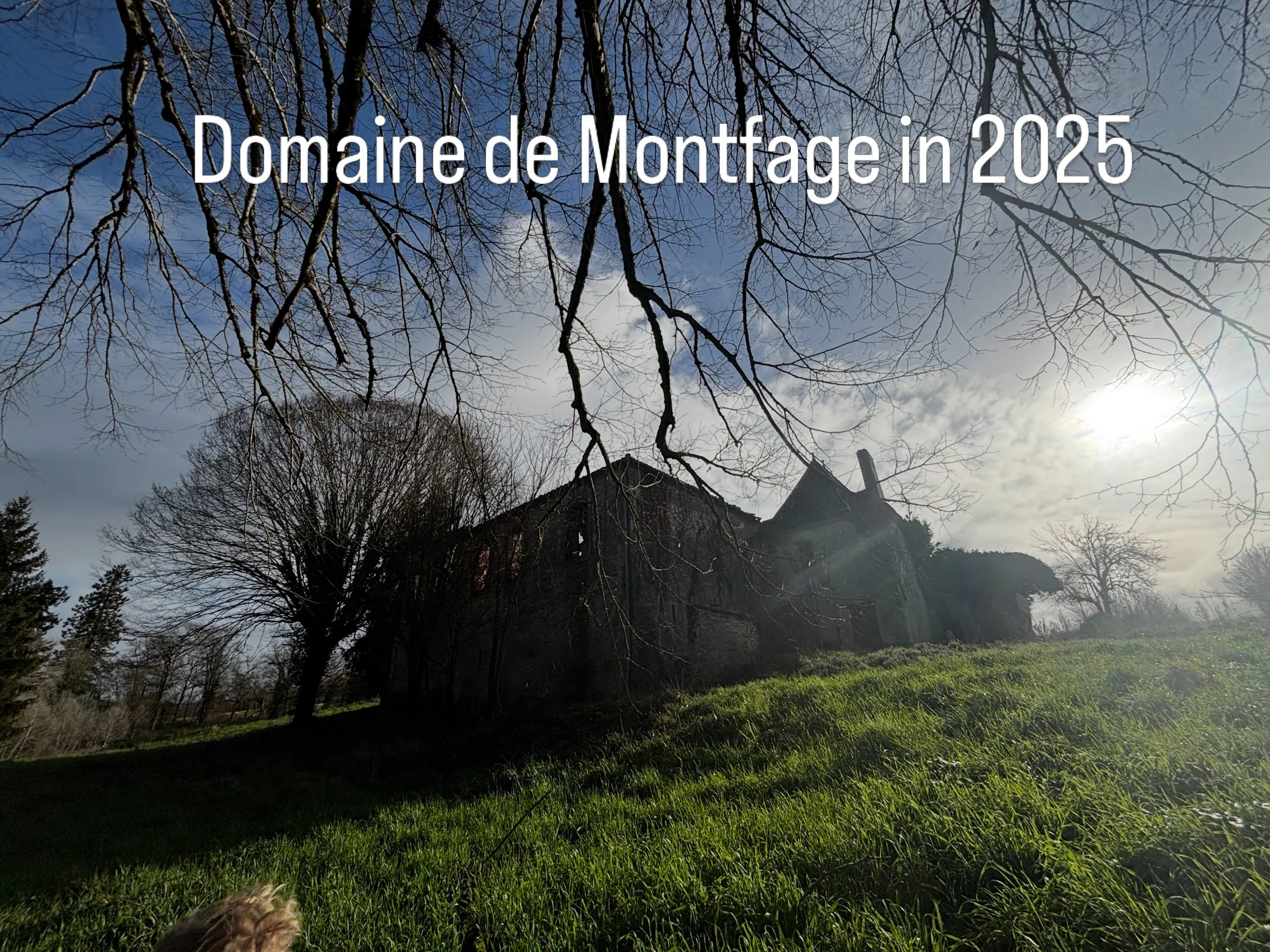 This is what we bought. A deserted historic place, full of character and possibilities 🤍 

We couldn&rsquo;t wait to start the work! In july 2026 we finally moved there and started the renovation of the Bergerie house ⚒️

It&rsquo;ll be a giant ques