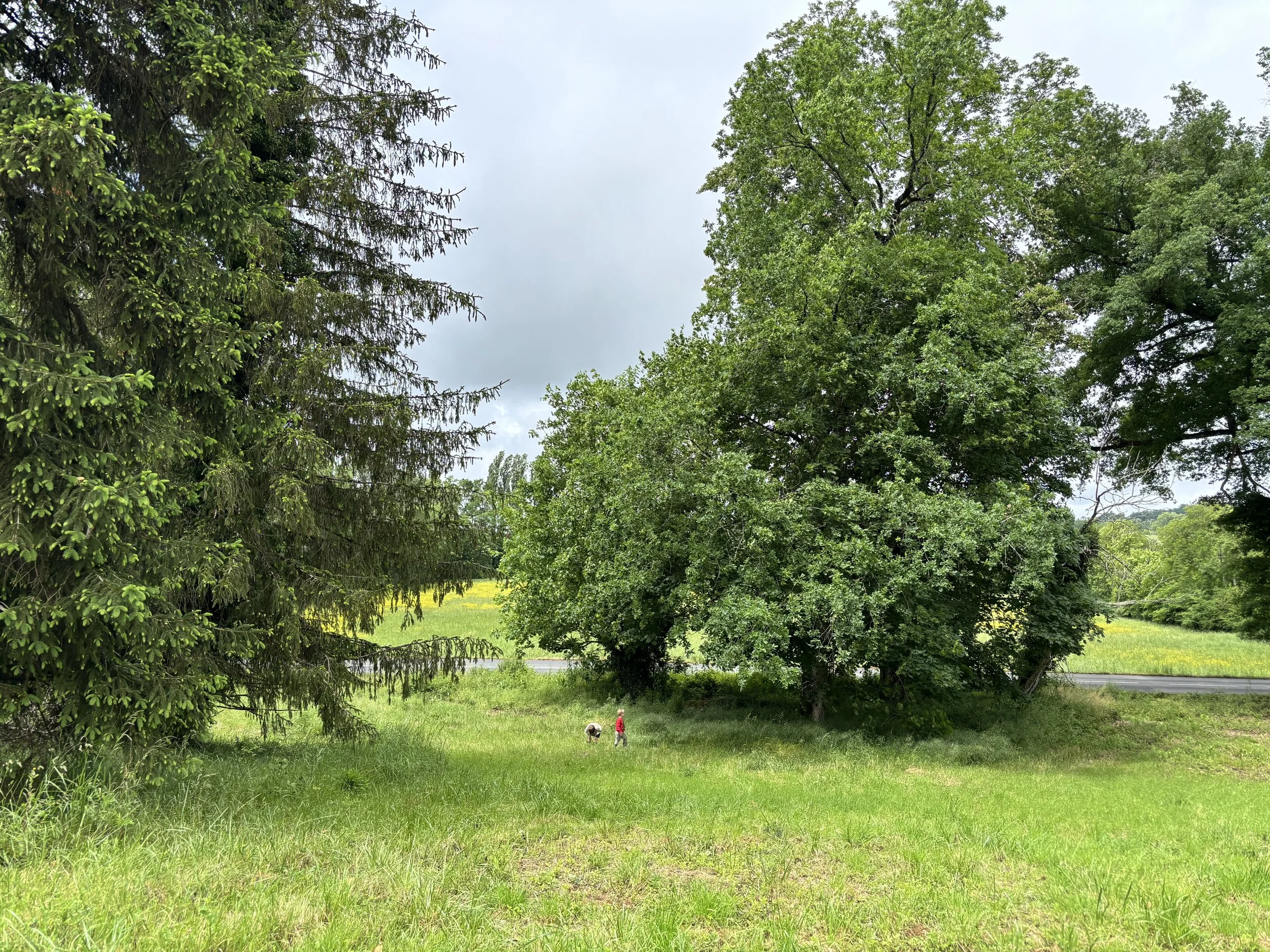 IMG_2032.jpeg