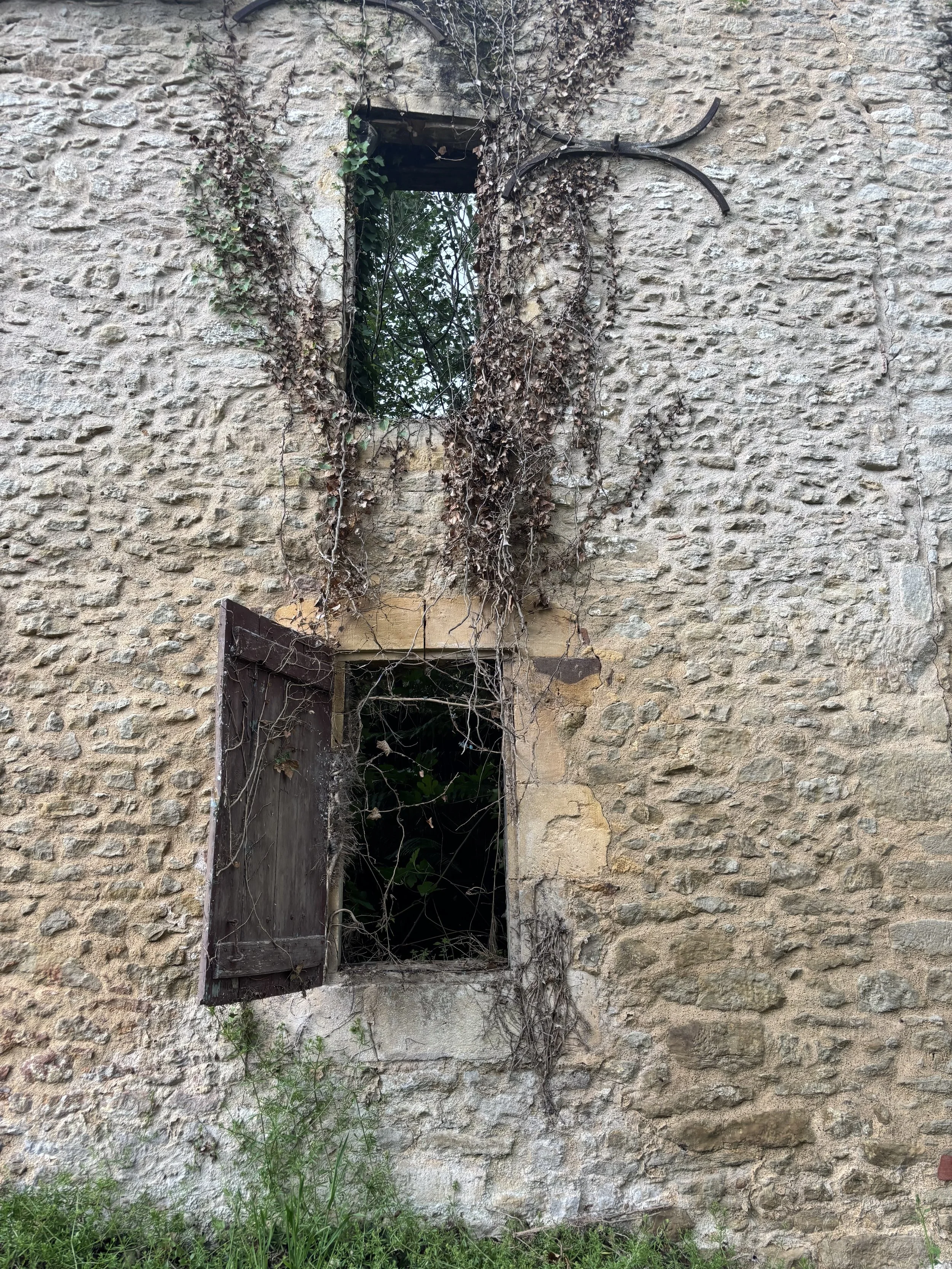 IMG_2020.jpeg