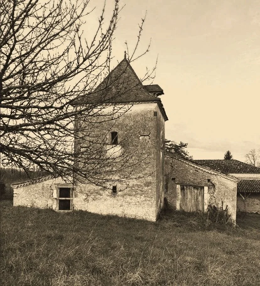 Old stone building with a tower, leafless tree in the foreground, grassy area in front, and a cloudy sky in the background.