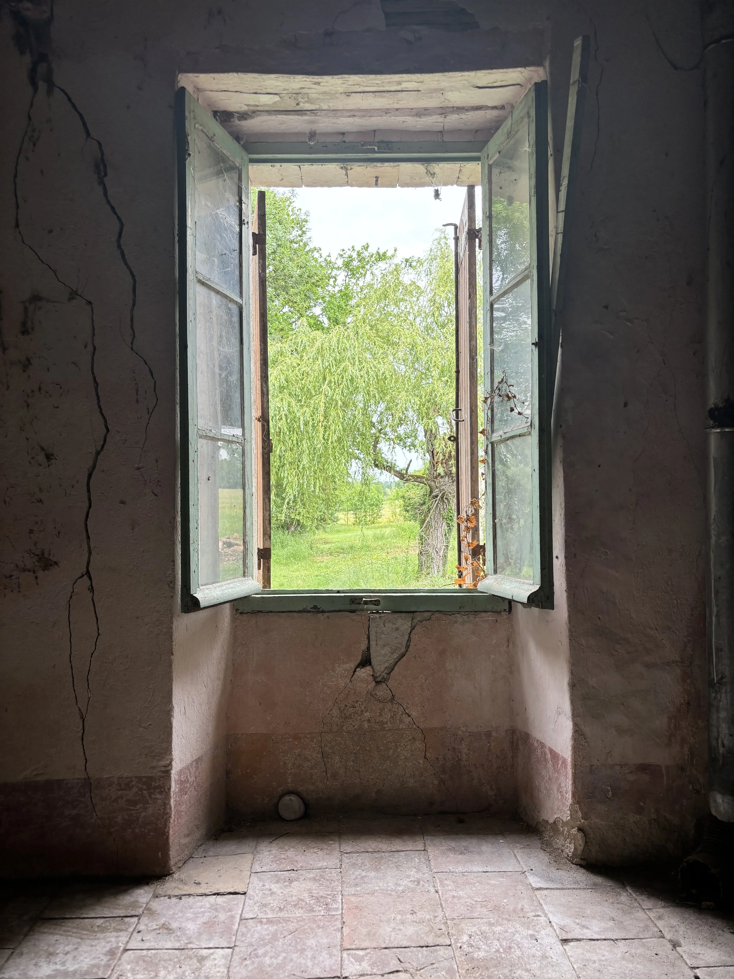 IMG_1974.jpeg