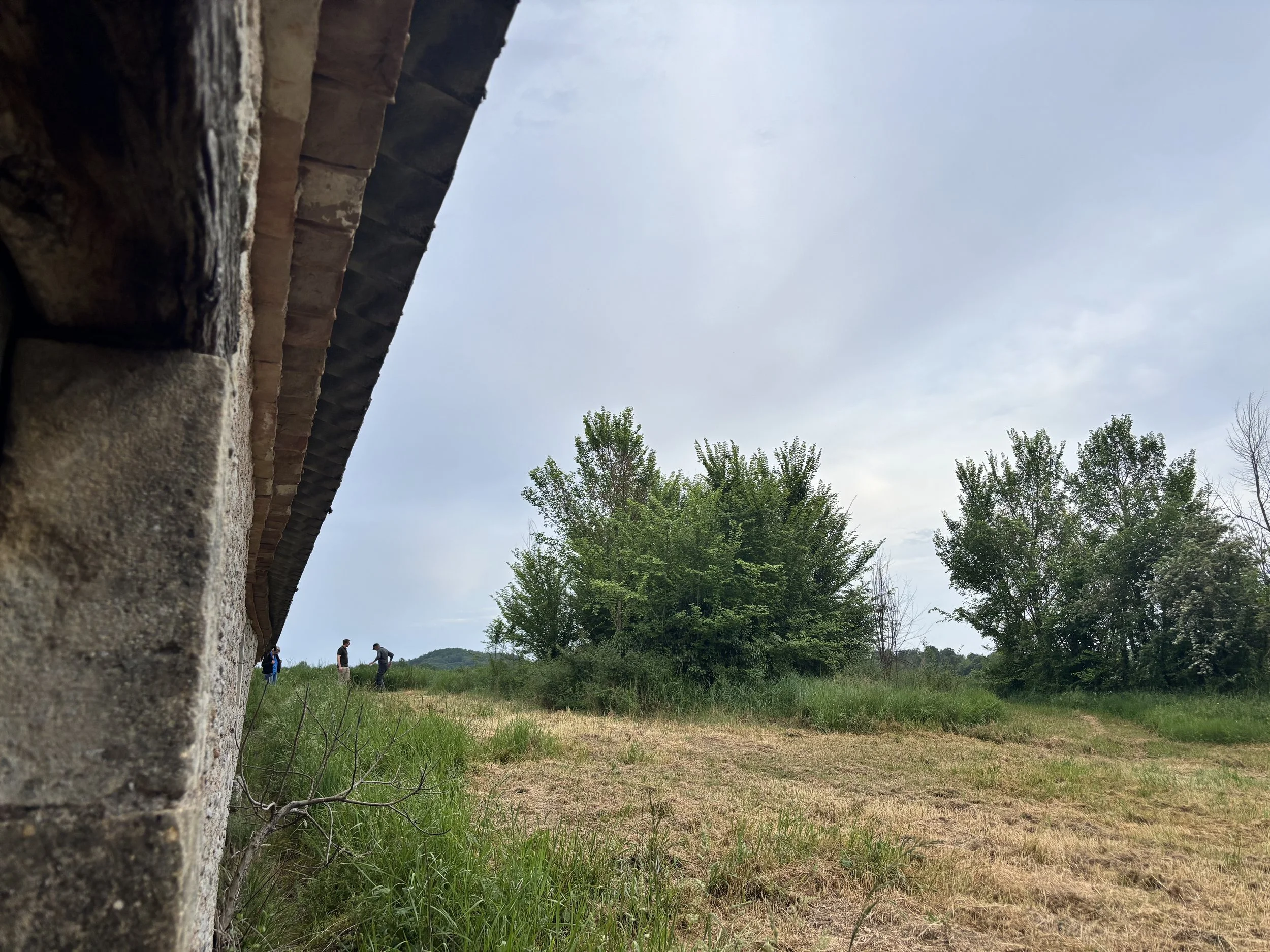 IMG_1902.jpeg