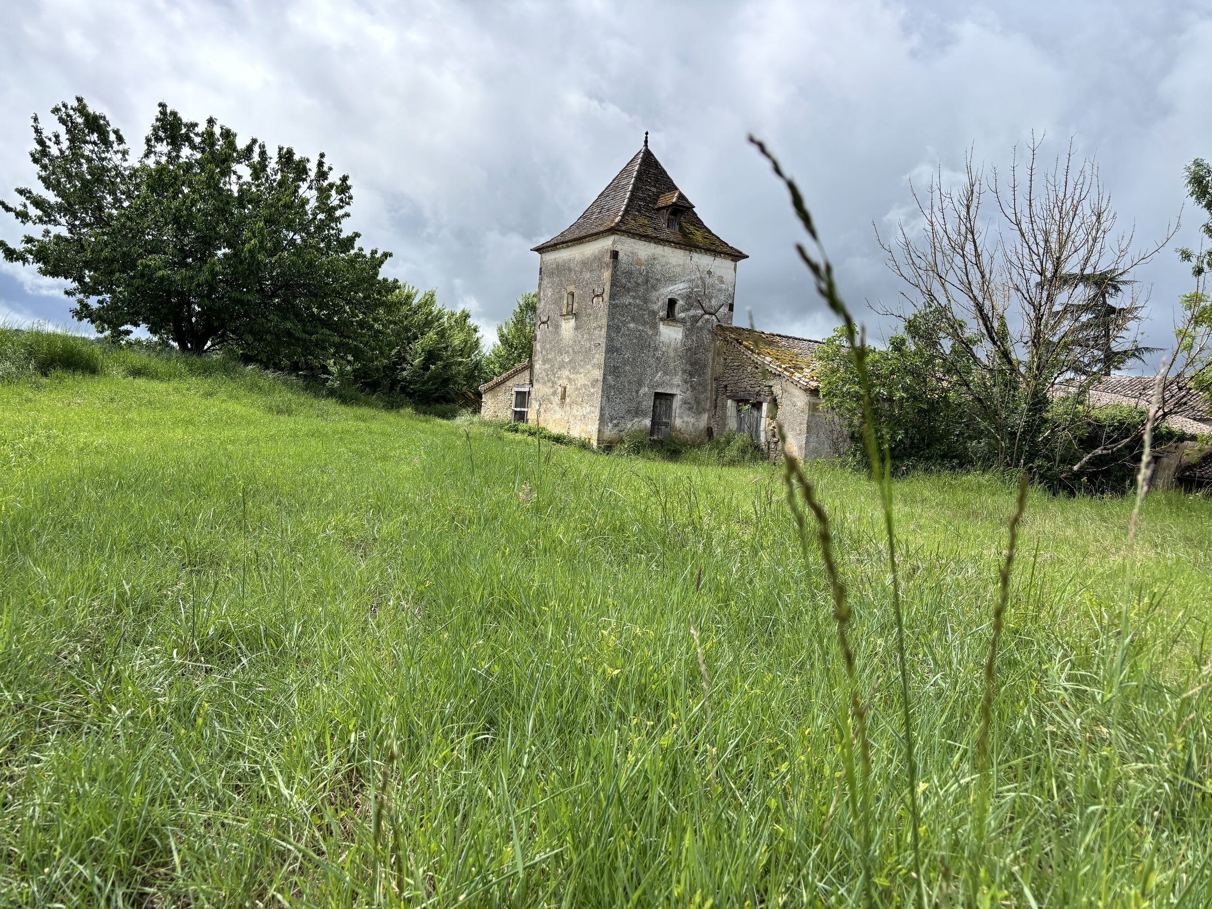 IMG_2041.jpeg