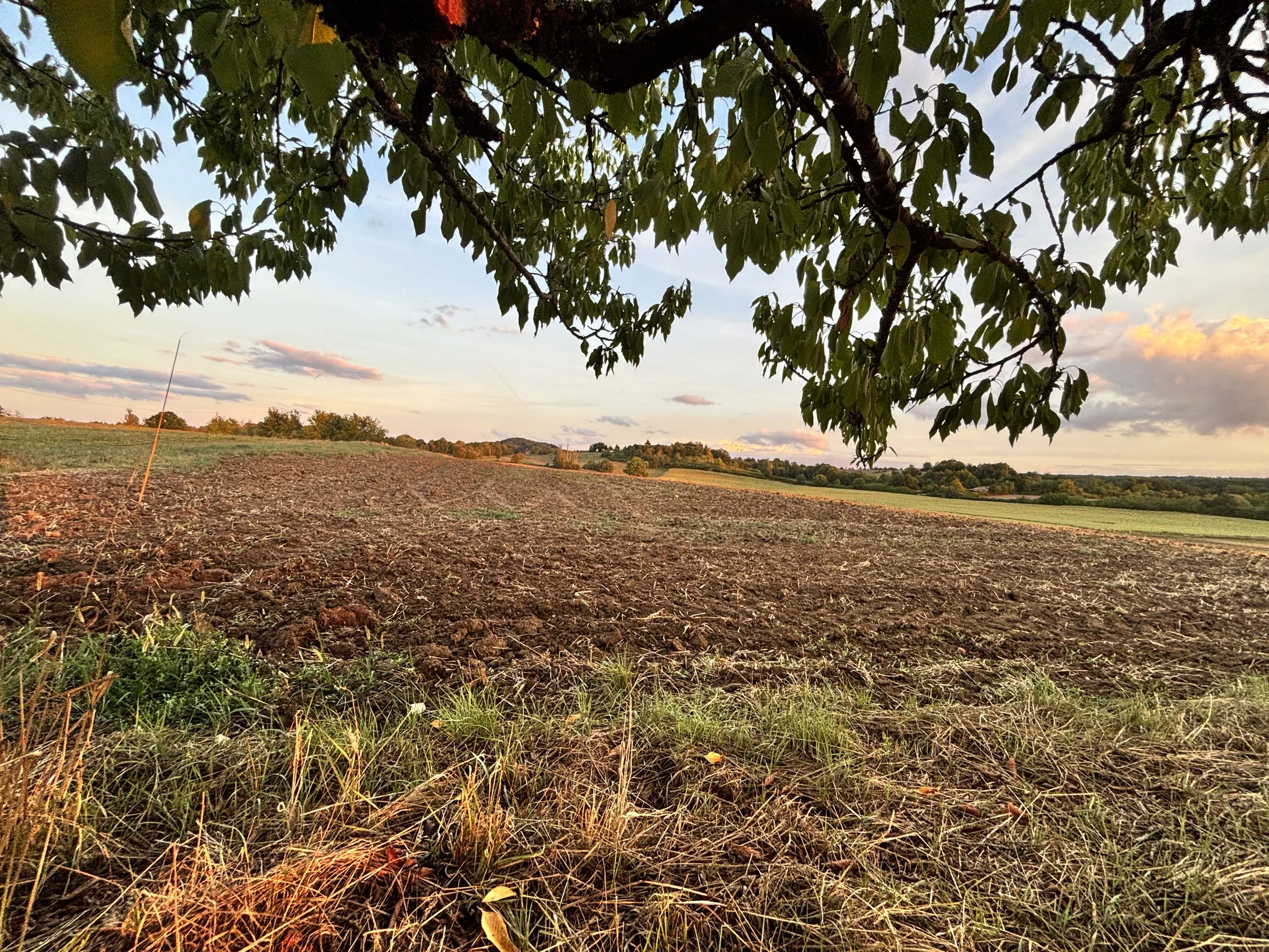 Herfst bij Domaine de Montfage