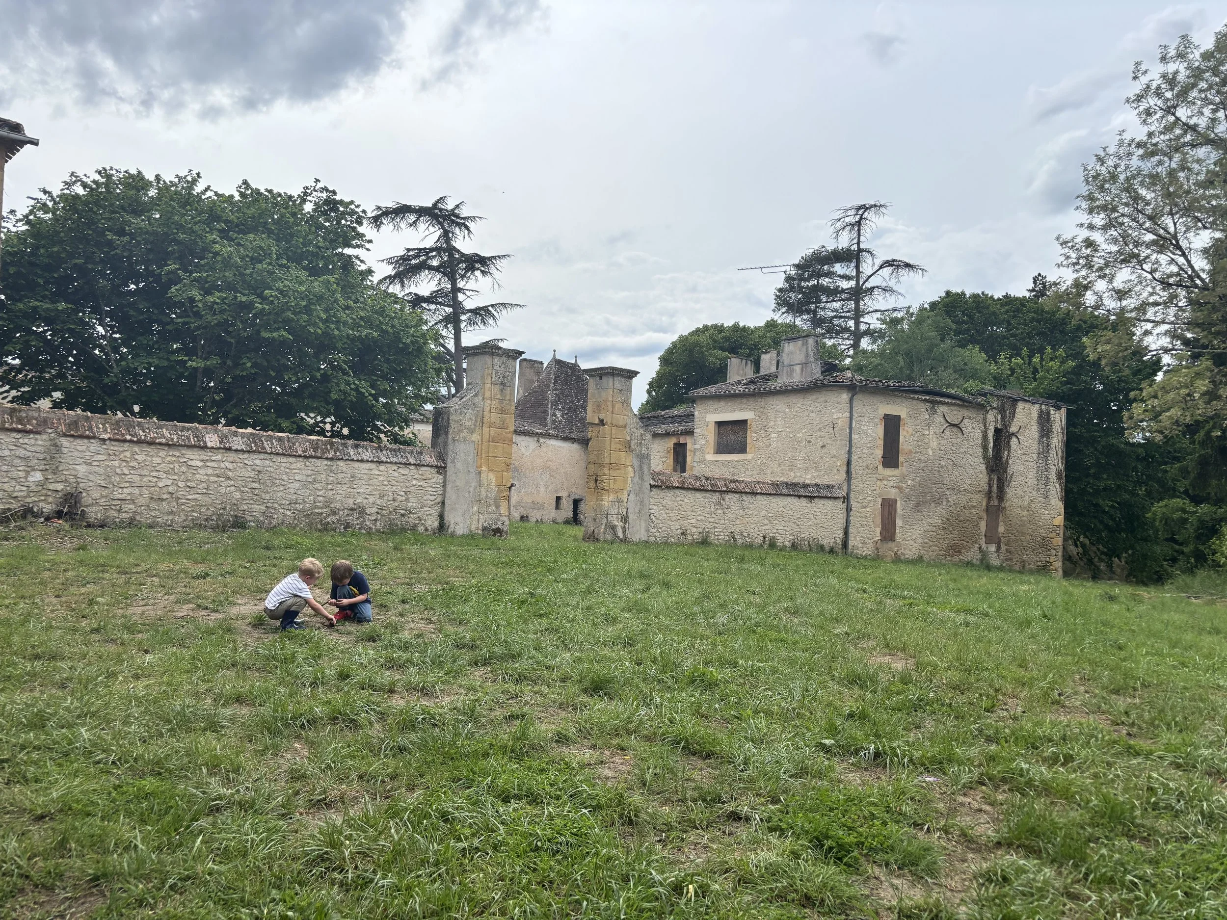 IMG_2006.jpeg