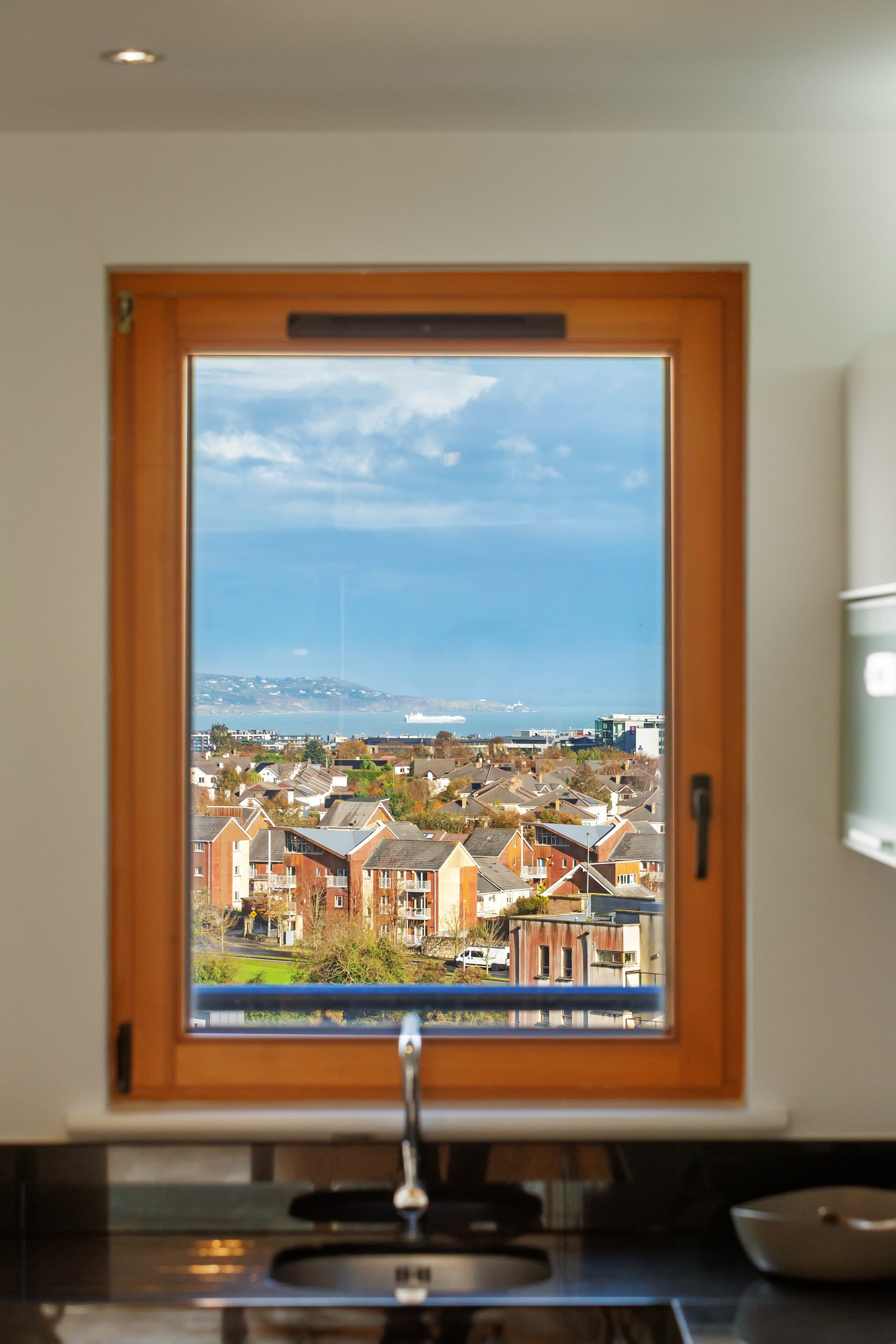 View from a kitchen window showing a neighborhood with houses, trees, and a large body of water in the background, possibly a bay or ocean, with a cruise ship visible.