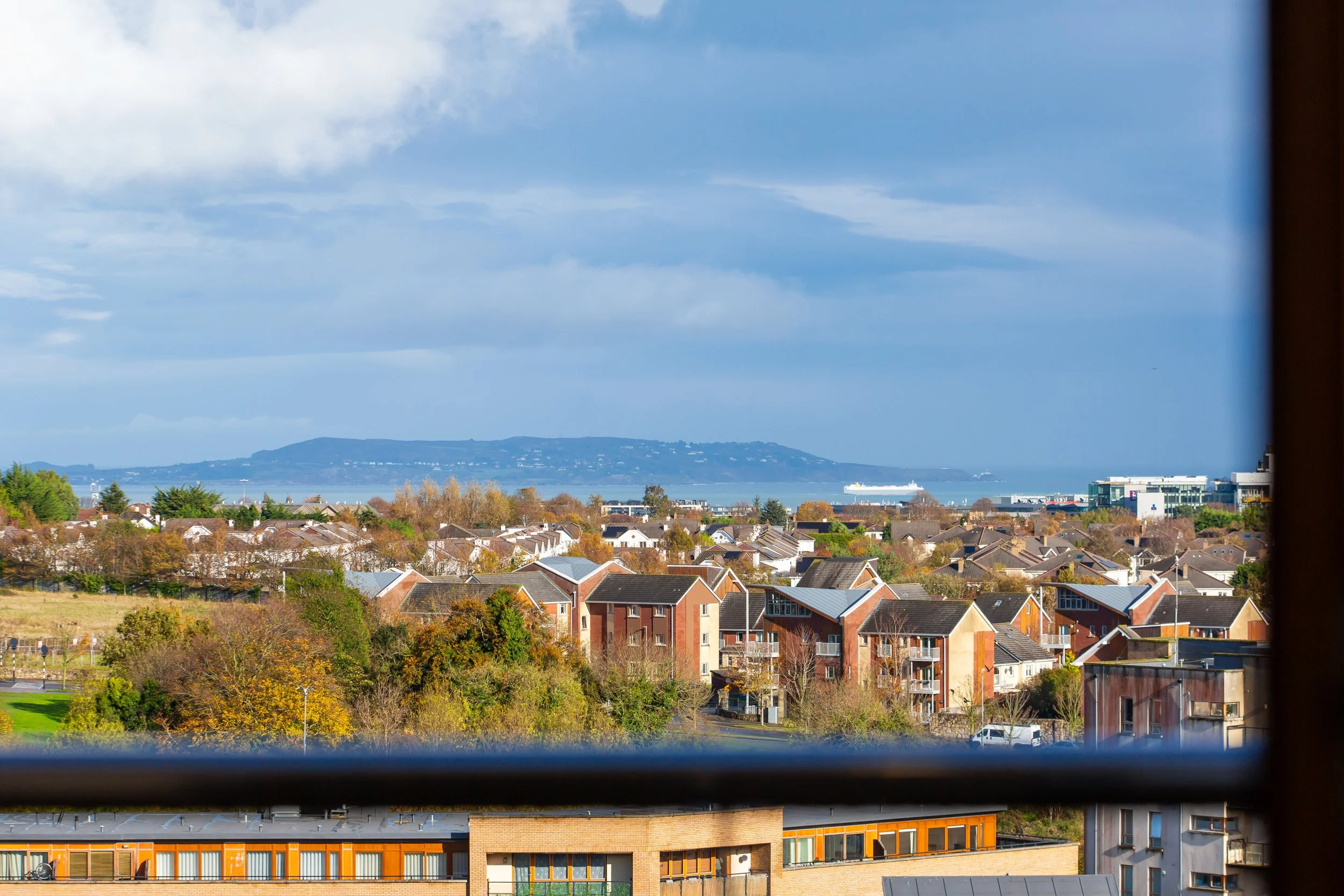 View through a window showing a suburban neighborhood with houses, trees, and a distant body of water with a cruise ship, under a partly cloudy sky.