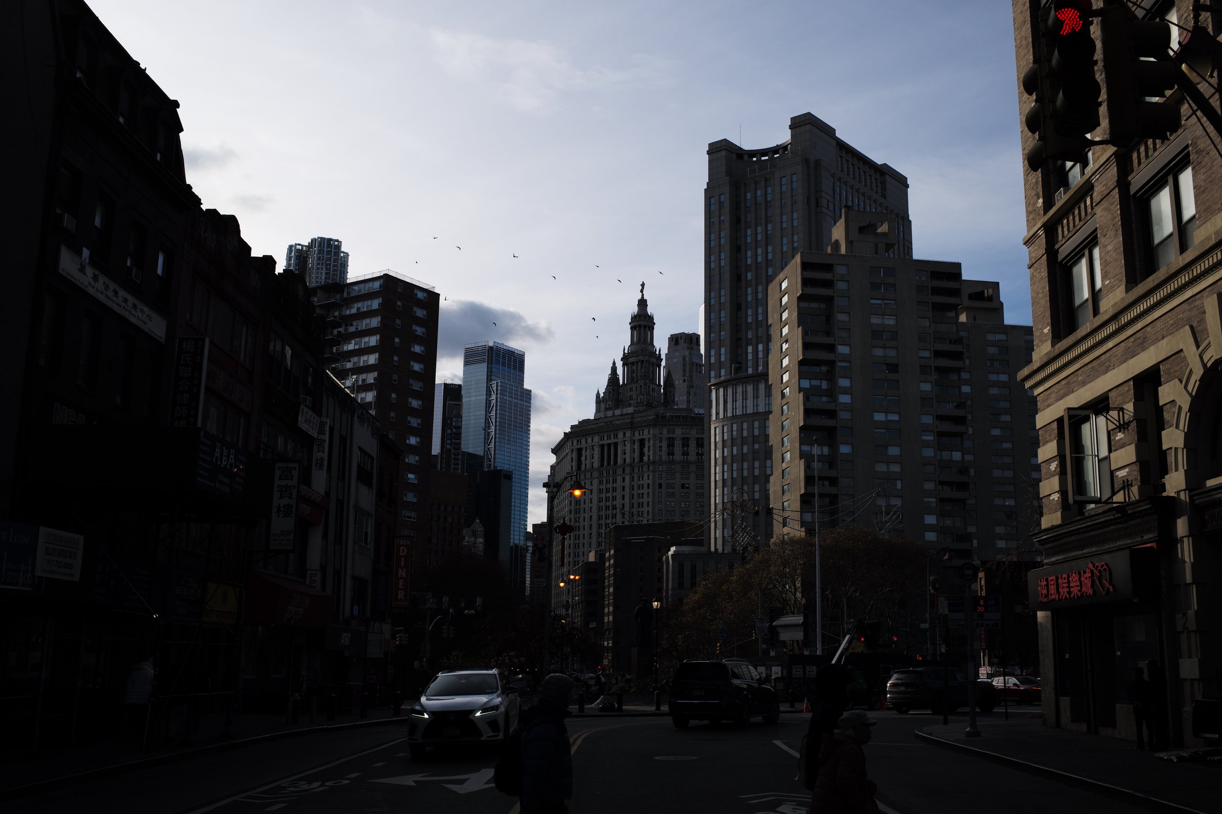 L1000717.JPG