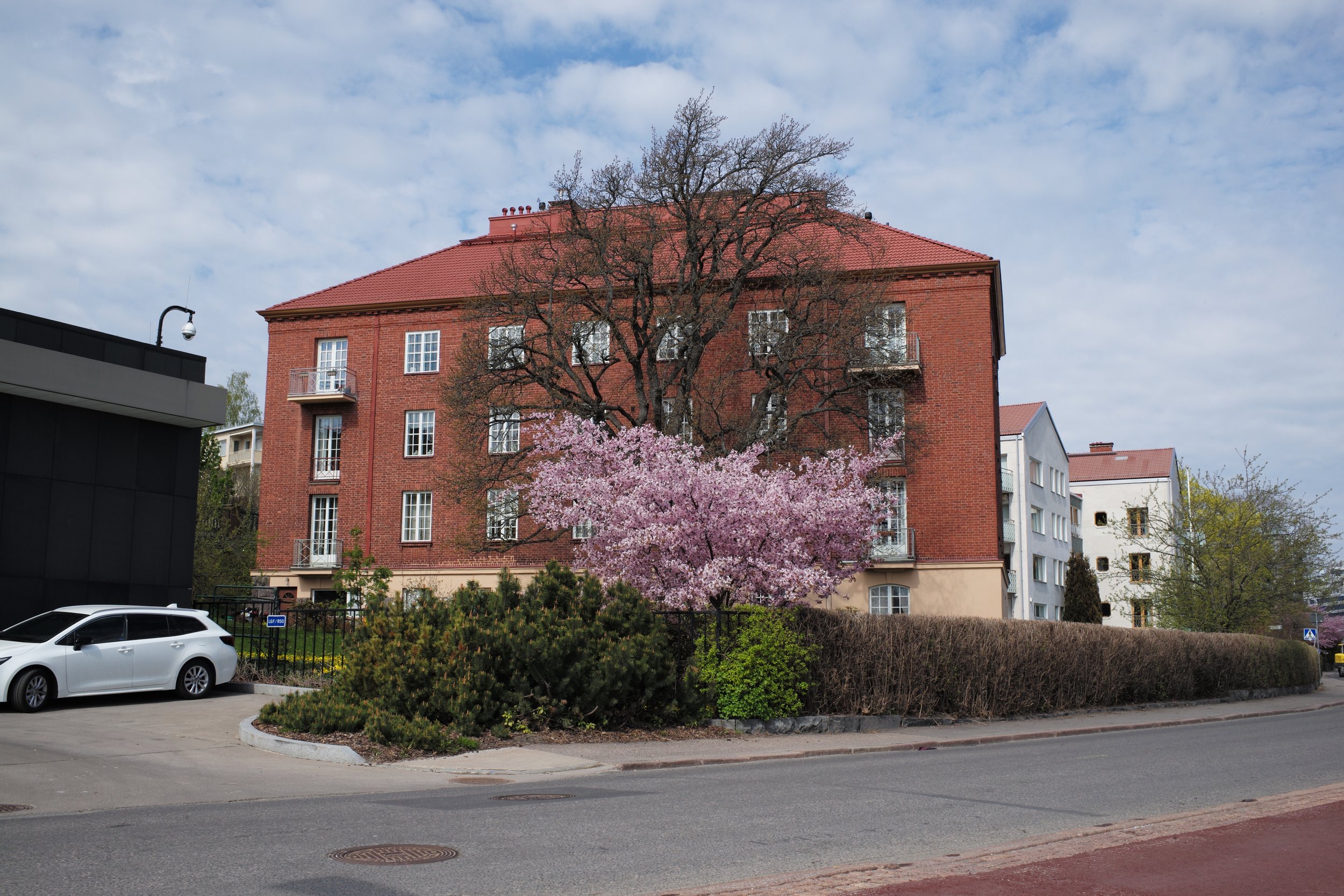 L1001090.JPG