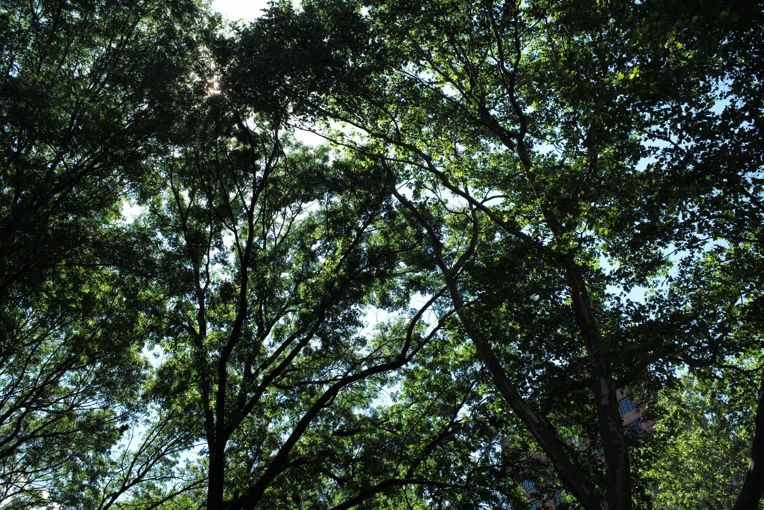 L1001170.JPG