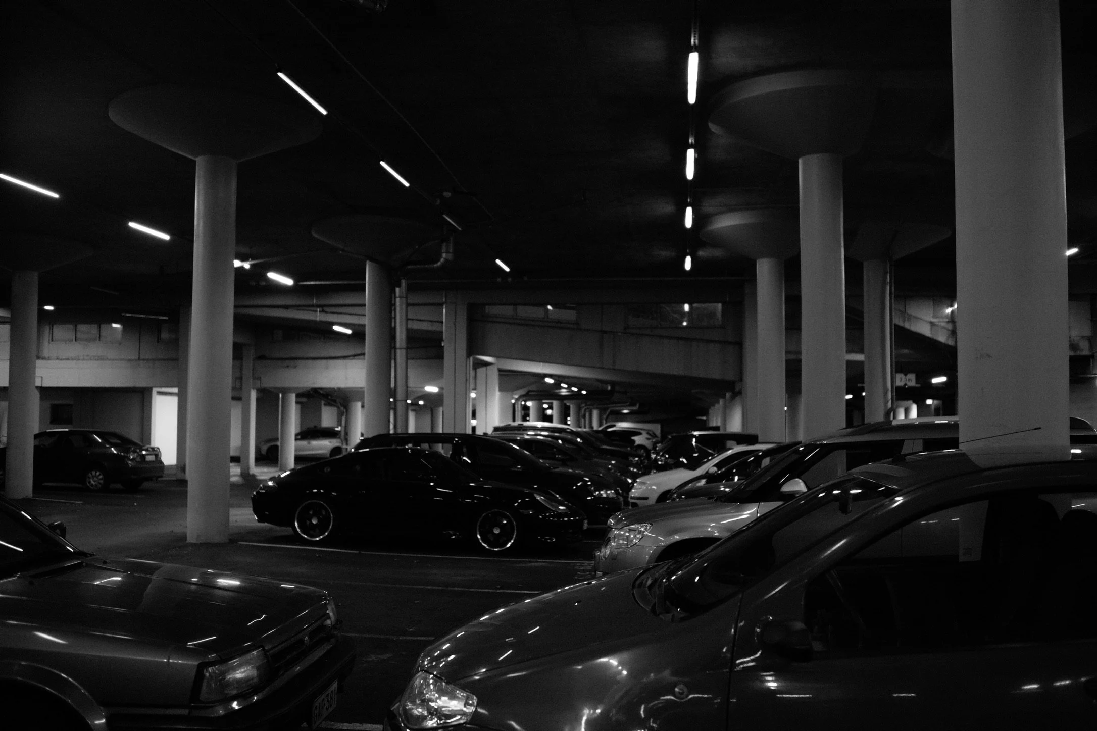 cars.jpeg
