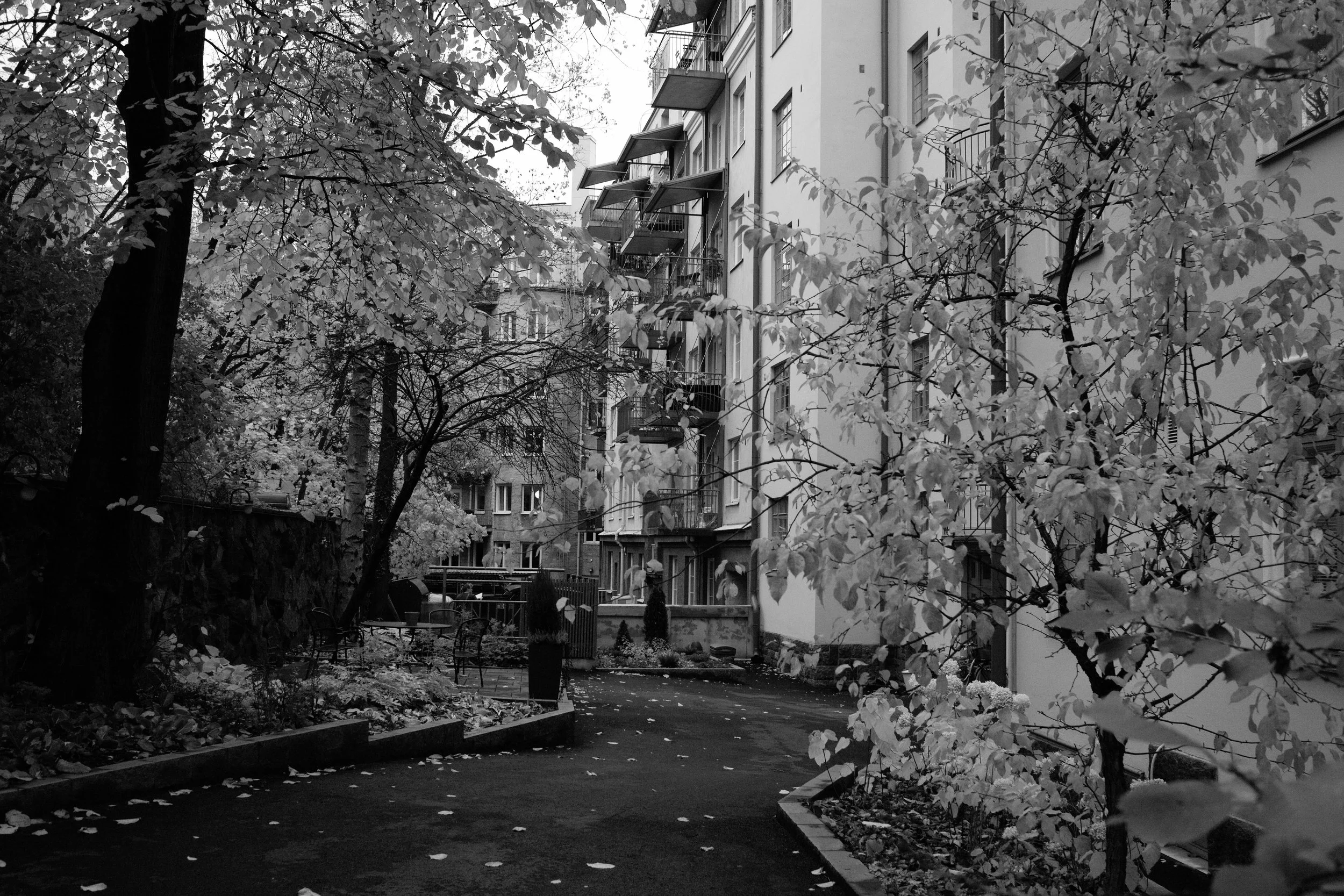 L1000505.JPG