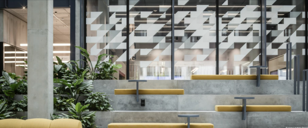Indoor space with concrete steps, yellow benches, plants, and decorative glass wall panels.
