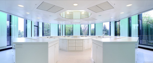 Empty modern kitchen with white cabinets, large windows, and a central island.