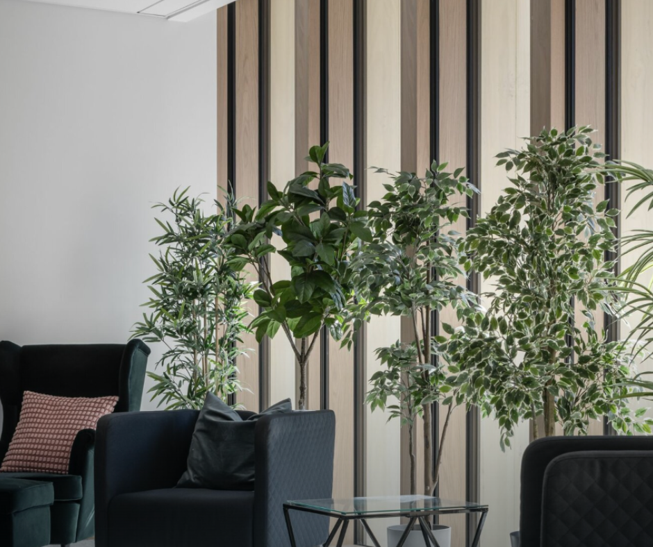 Modern interior space with black armchairs, a glass side table, and large green indoor plants in front of a wooden slat wall.