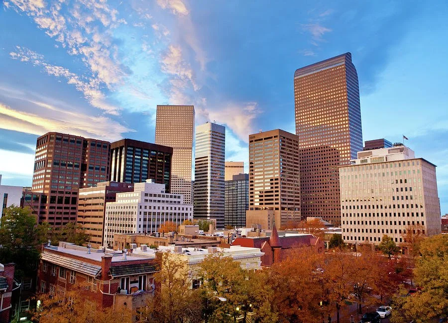 Skyline of downtown skyscrapers during sunset with trees in foreground.