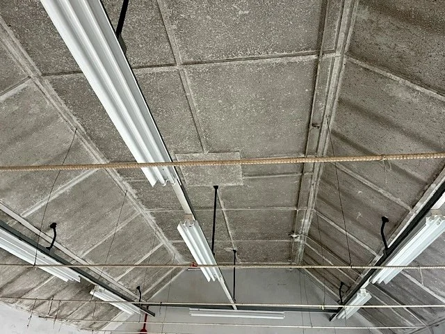 Asbestos Cement removal