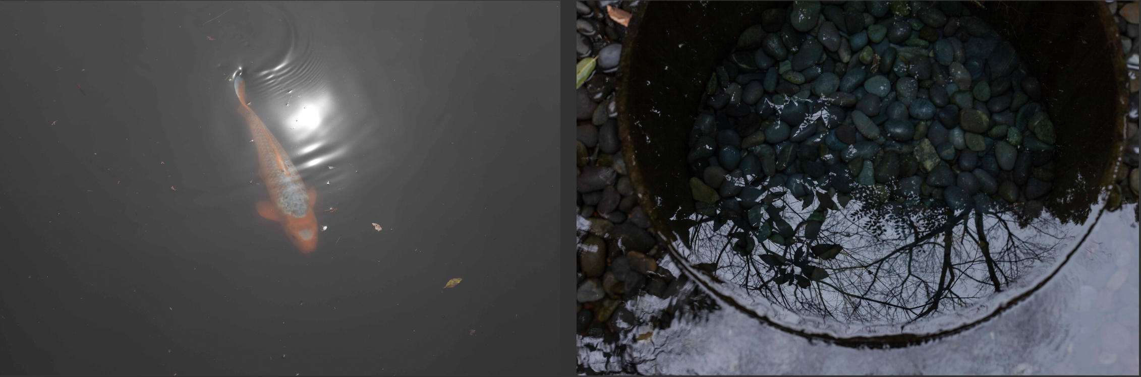 Screenshot 2020-12-17 at 17.35.51.png