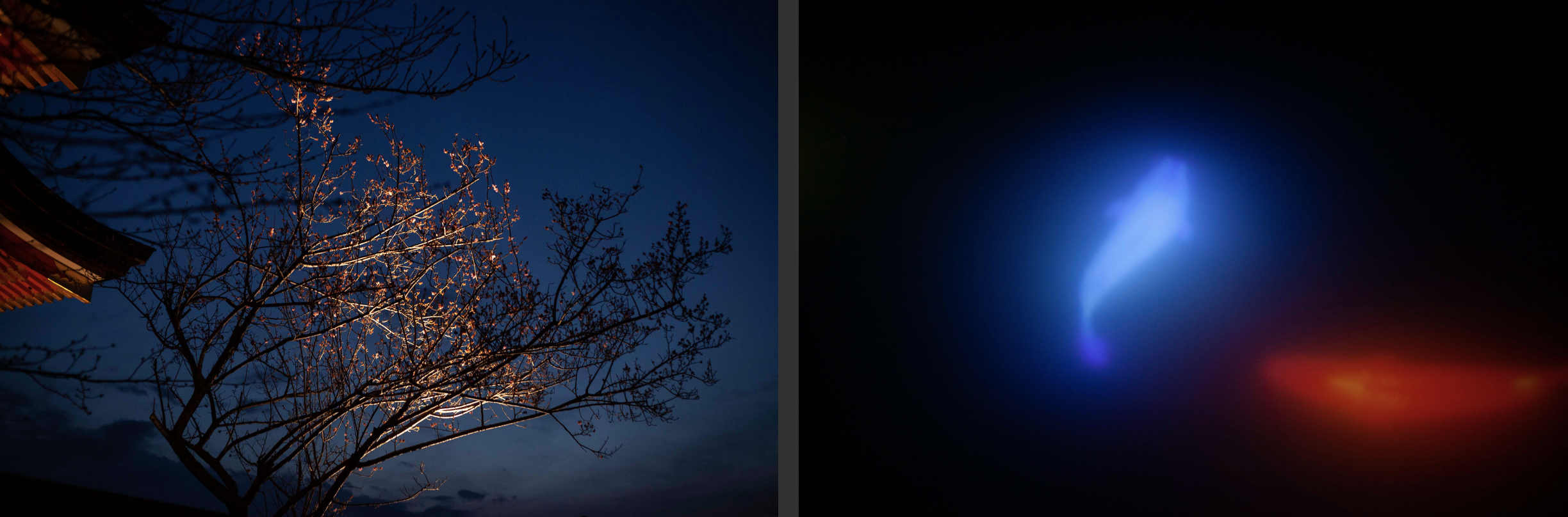 Screenshot 2020-12-17 at 17.35.16.png