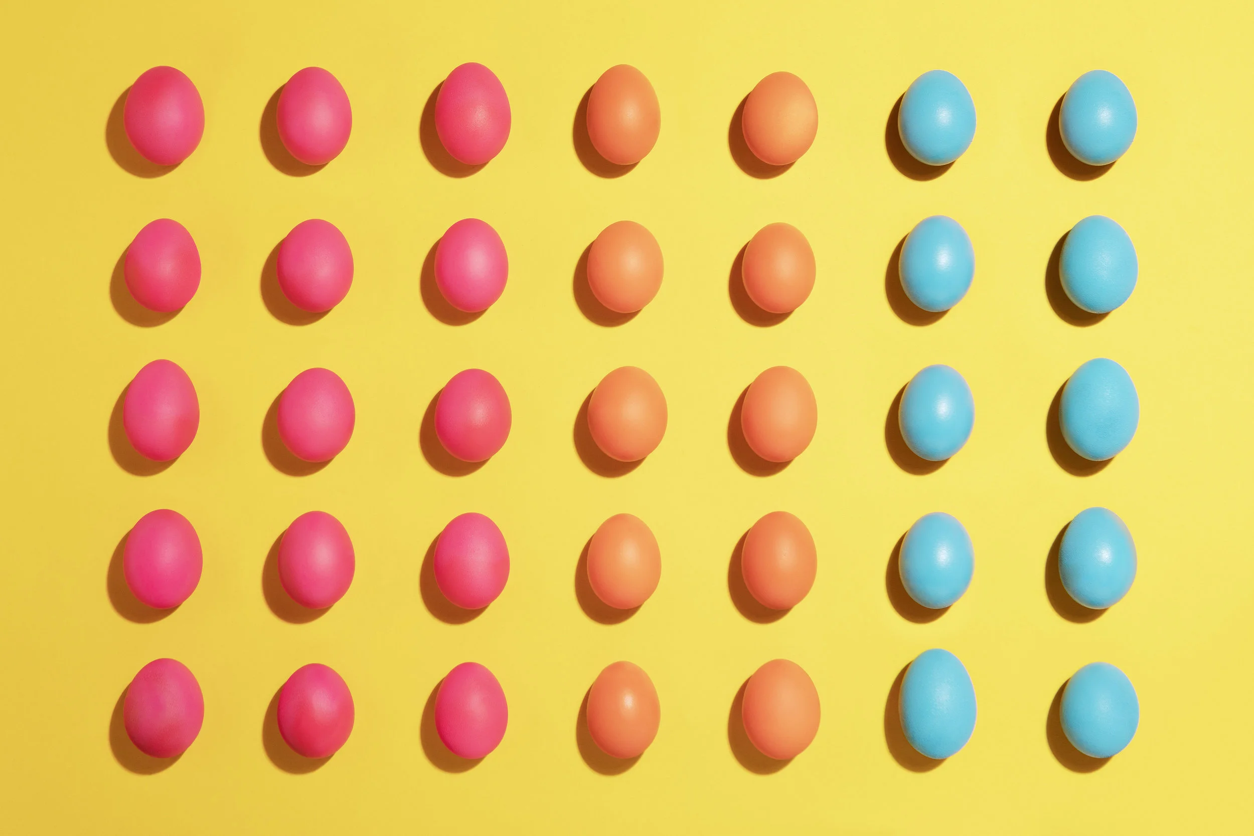 TCFS_EggRangeBanner3on their own.jpg