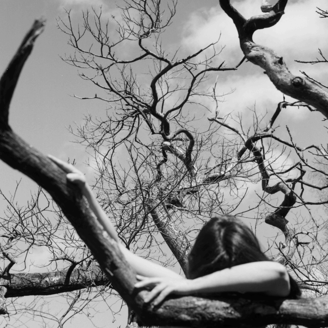 A black and white photograph of a person with long hair leaning on a tree branch, with the tree's leafless branches extending upwards towards the sky in the background.