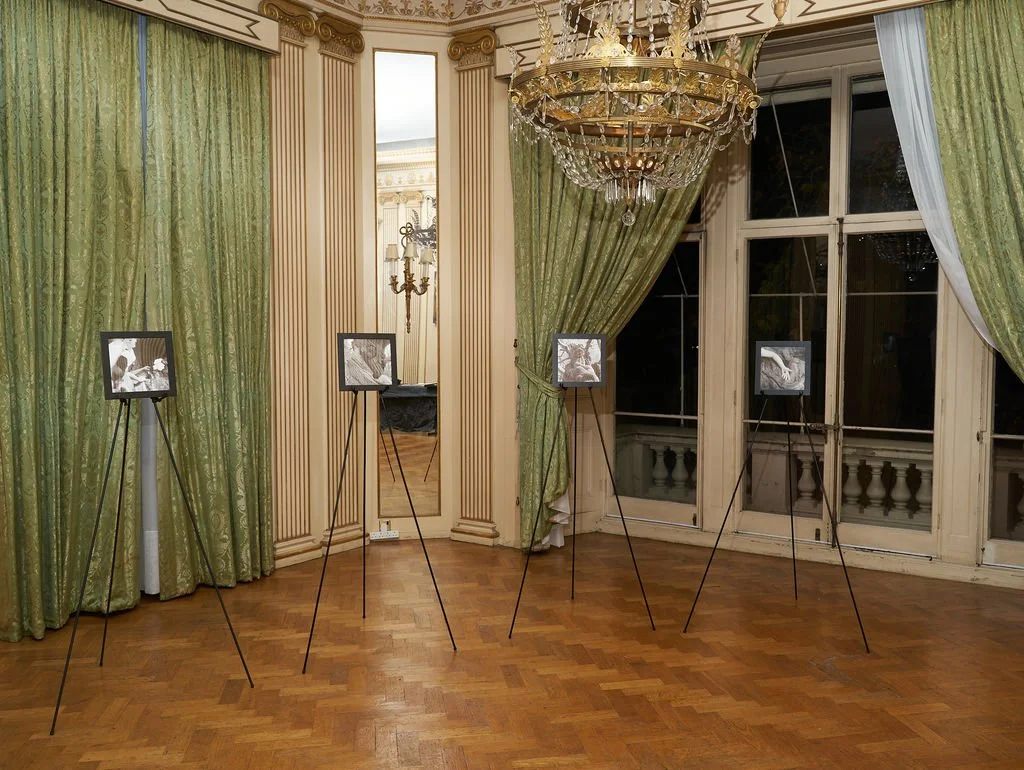 An elegant room with large green curtains, a gold chandelier, a decorative mirror, wooden floors, and four framed black-and-white photographs mounted on black easels.