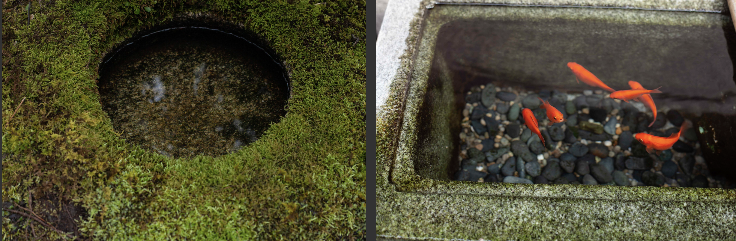 Screenshot 2020-12-17 at 17.34.45.png