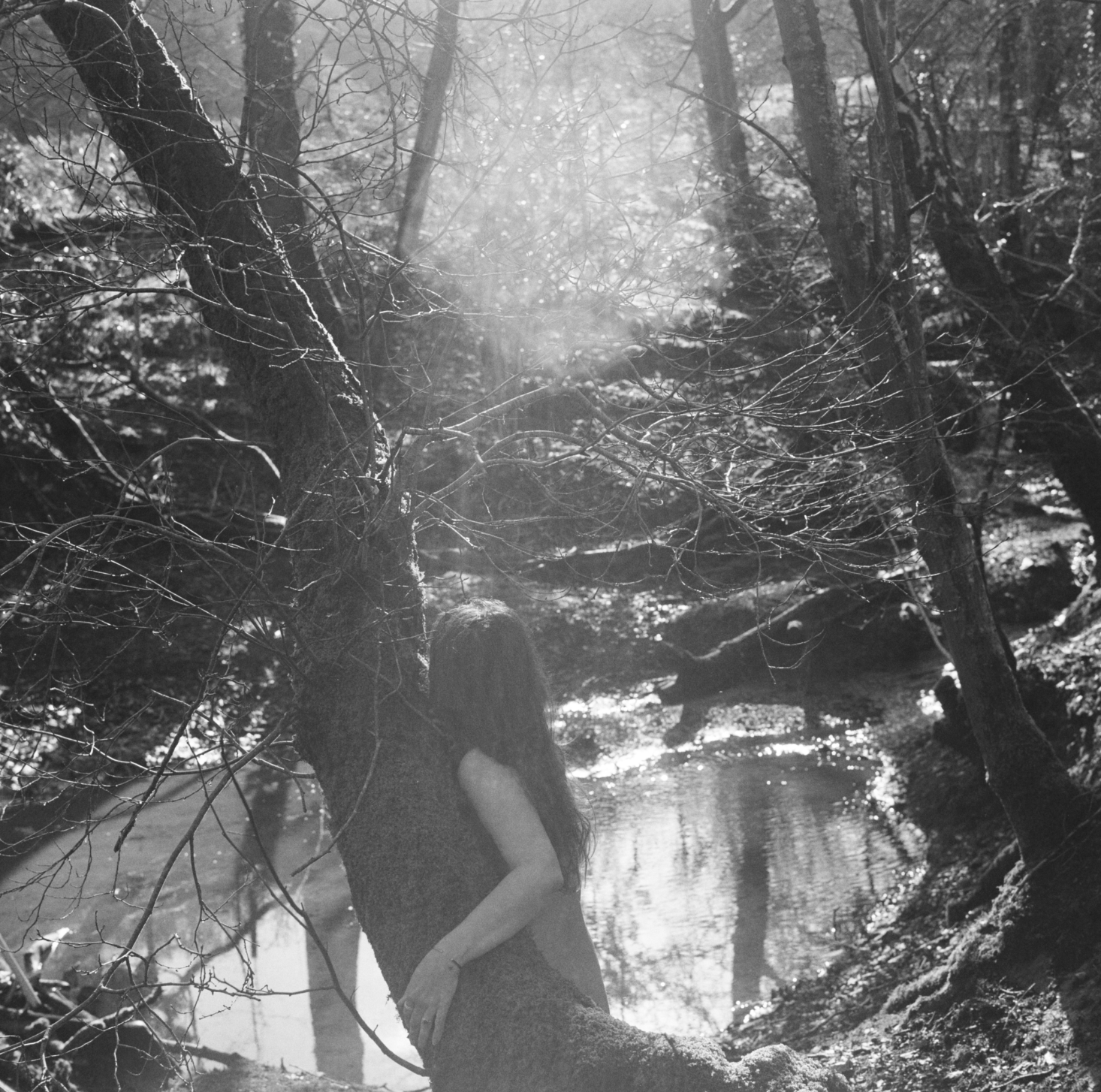 A person with long hair hugging a tree by a river in a wooded area, sunlight shining through the trees, in black and white.