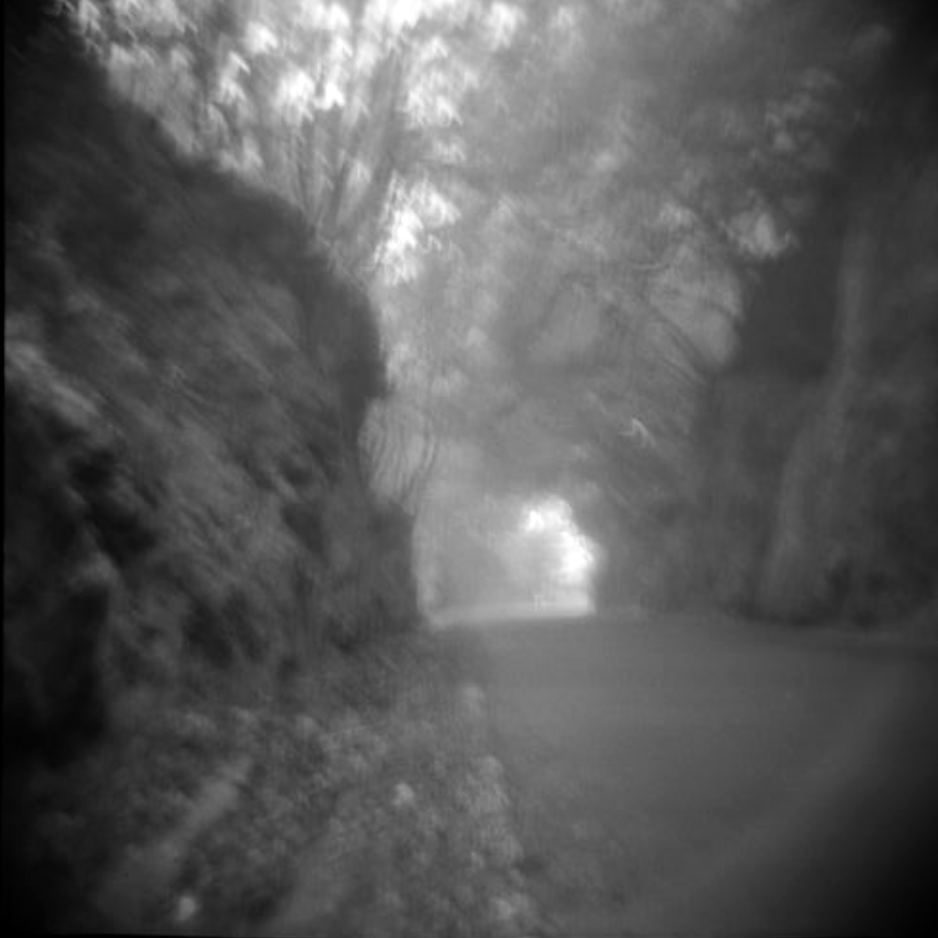 A black-and-white photograph of a narrow, curving road passing through a dense forest with tall trees on both sides, creating a natural tunnel.