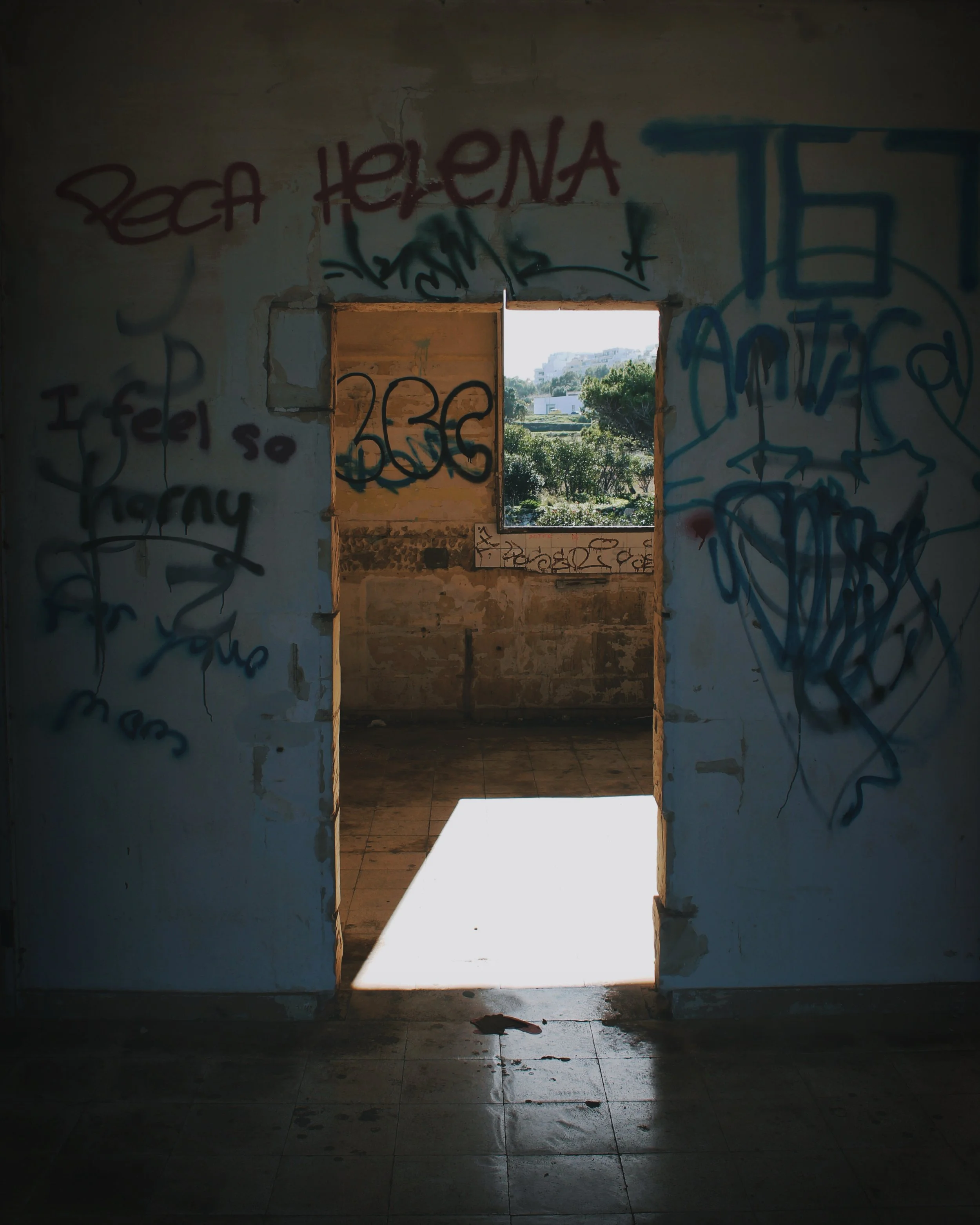 frame window:door.JPEG