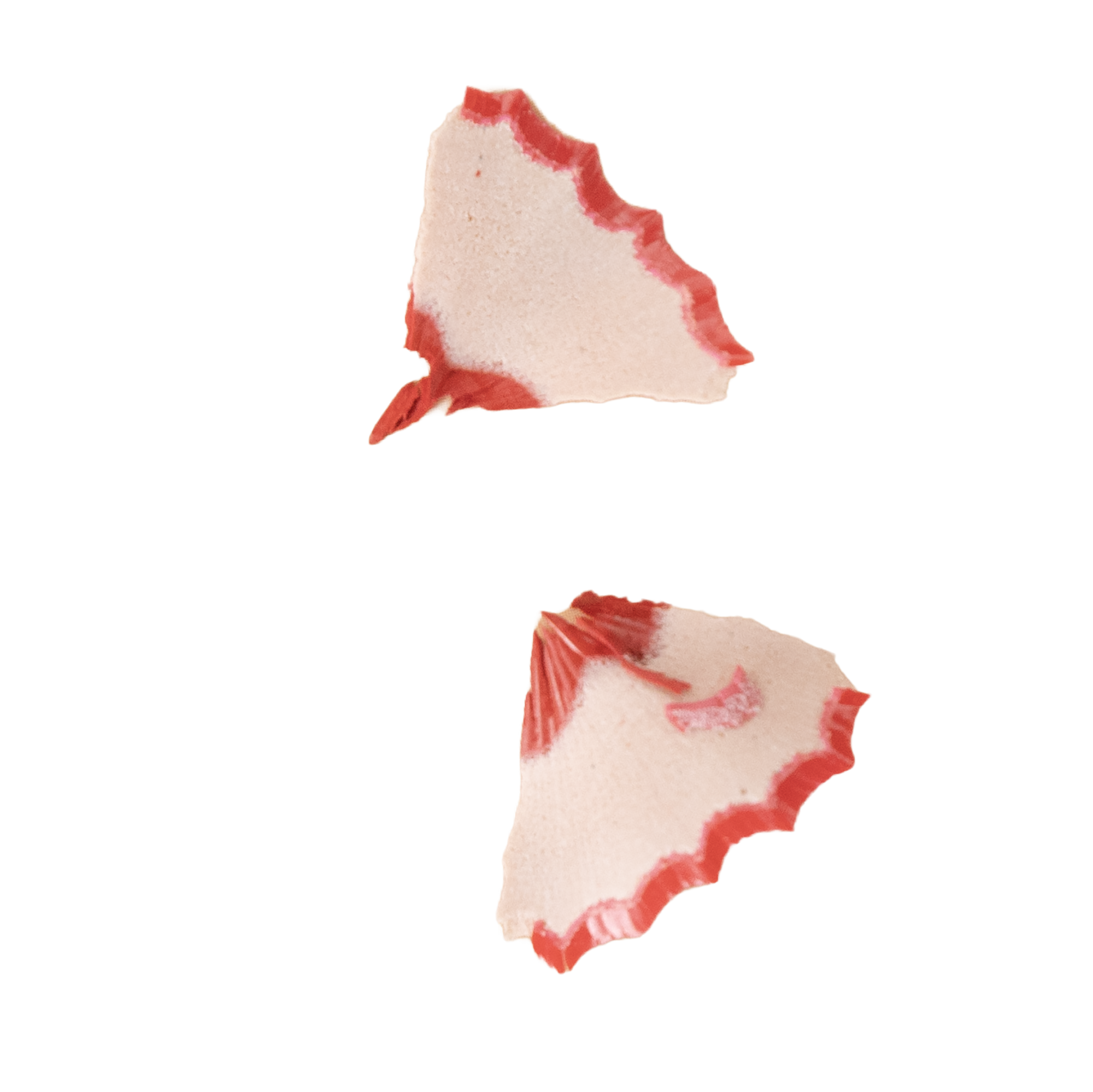 Red pencil shavings