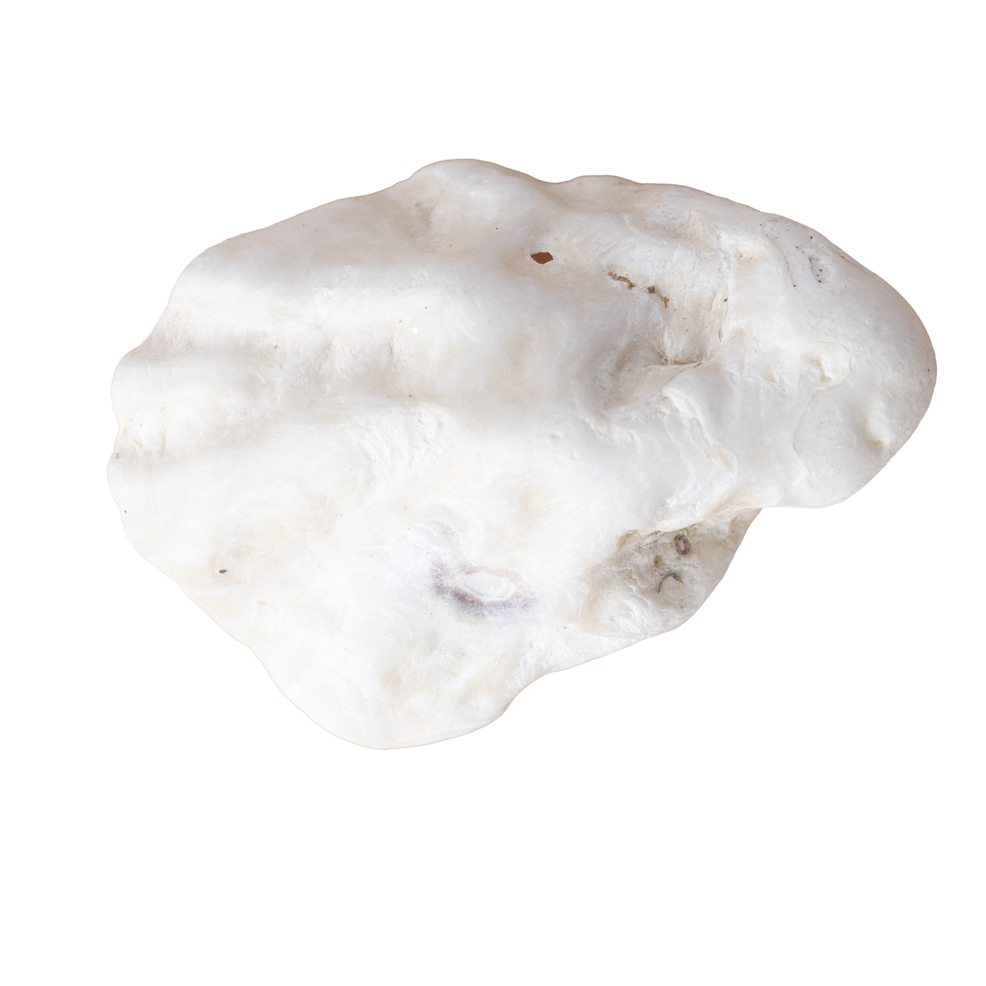 A close-up view of a white, irregularly shaped mineral or rock with some small surface imperfections and a tiny hole near the center.
