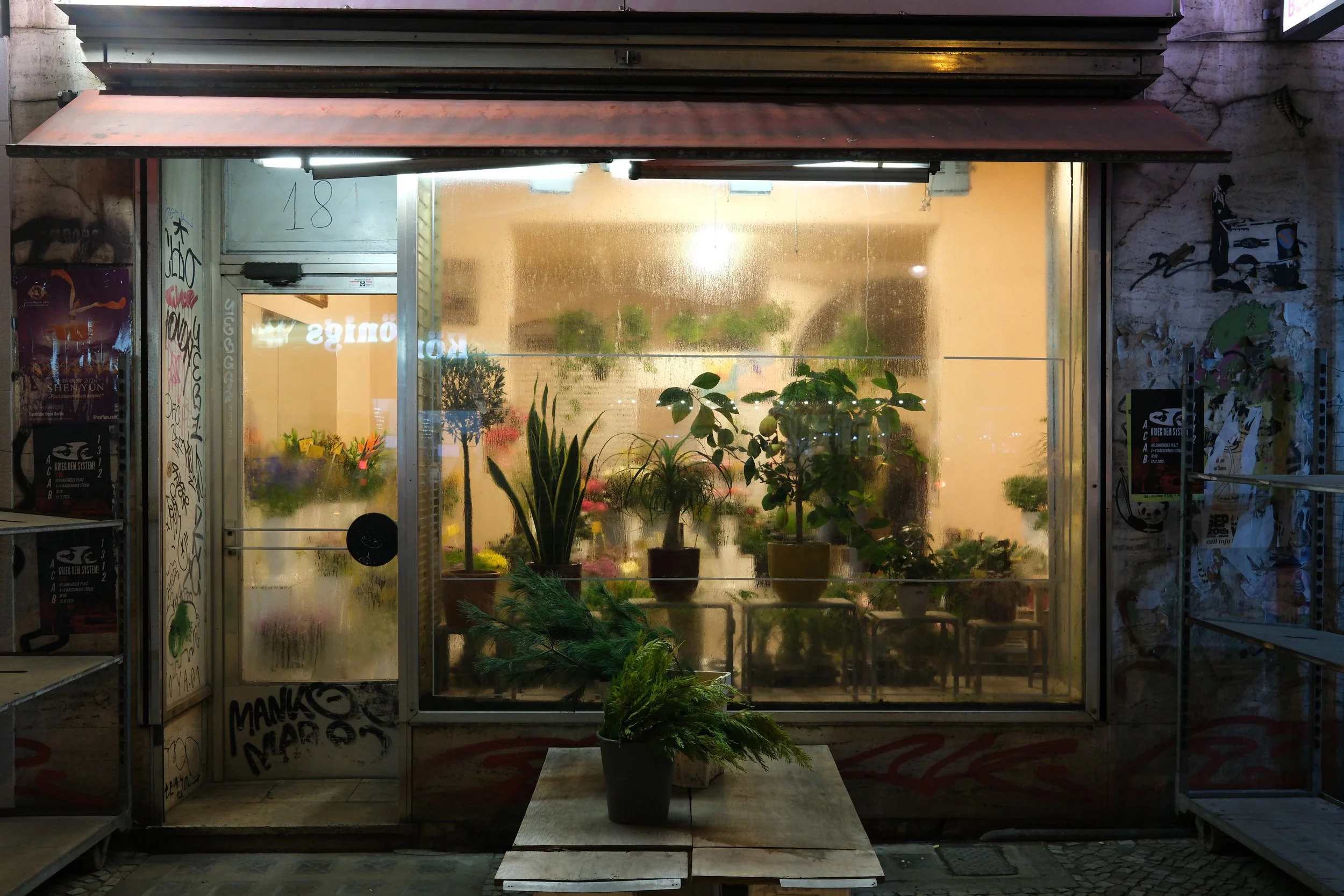 Nighttime photograph of a small flower shop with a large front window displaying potted plants inside. Some graffiti and posters are visible on the exterior wall, and shelves are on either side of the shop. A plant in a black pot is placed outside on a wooden table.