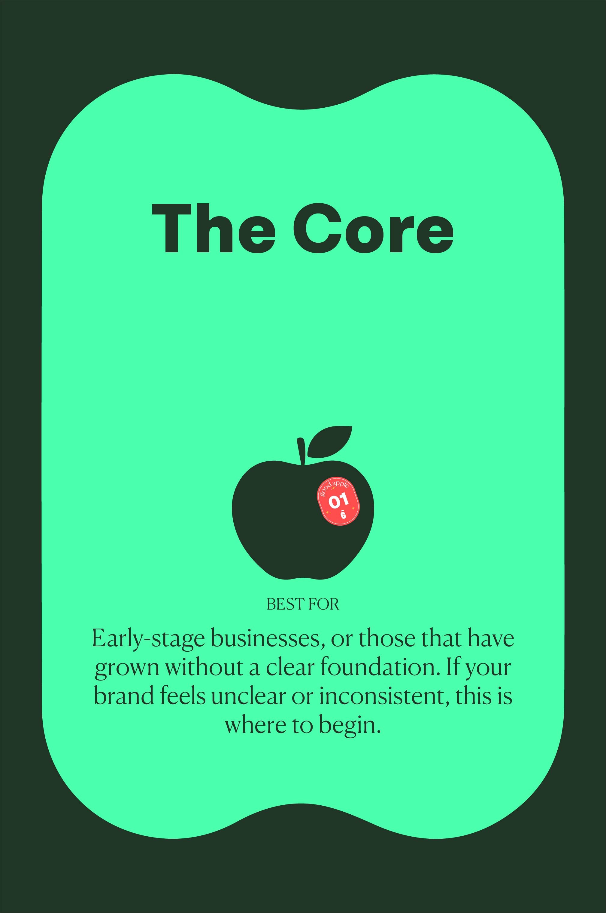 The Core package for early-stage businesses, or those that have grown without a clear foundation. If your brand feels unclear or inconsistent, this is where to begin.