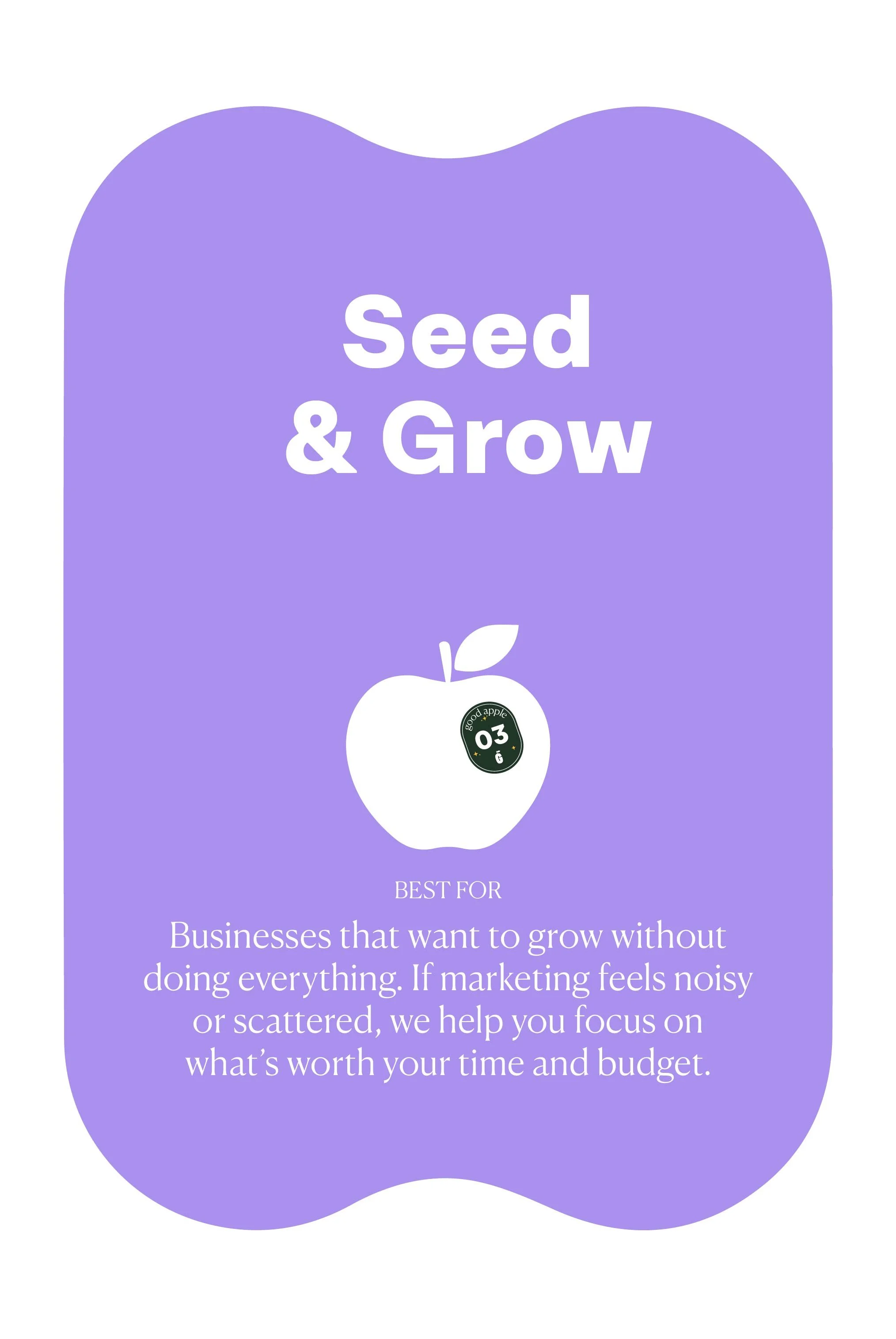 The Seed & Grow package offering marketing services for businesses wanting to grow efficiently.