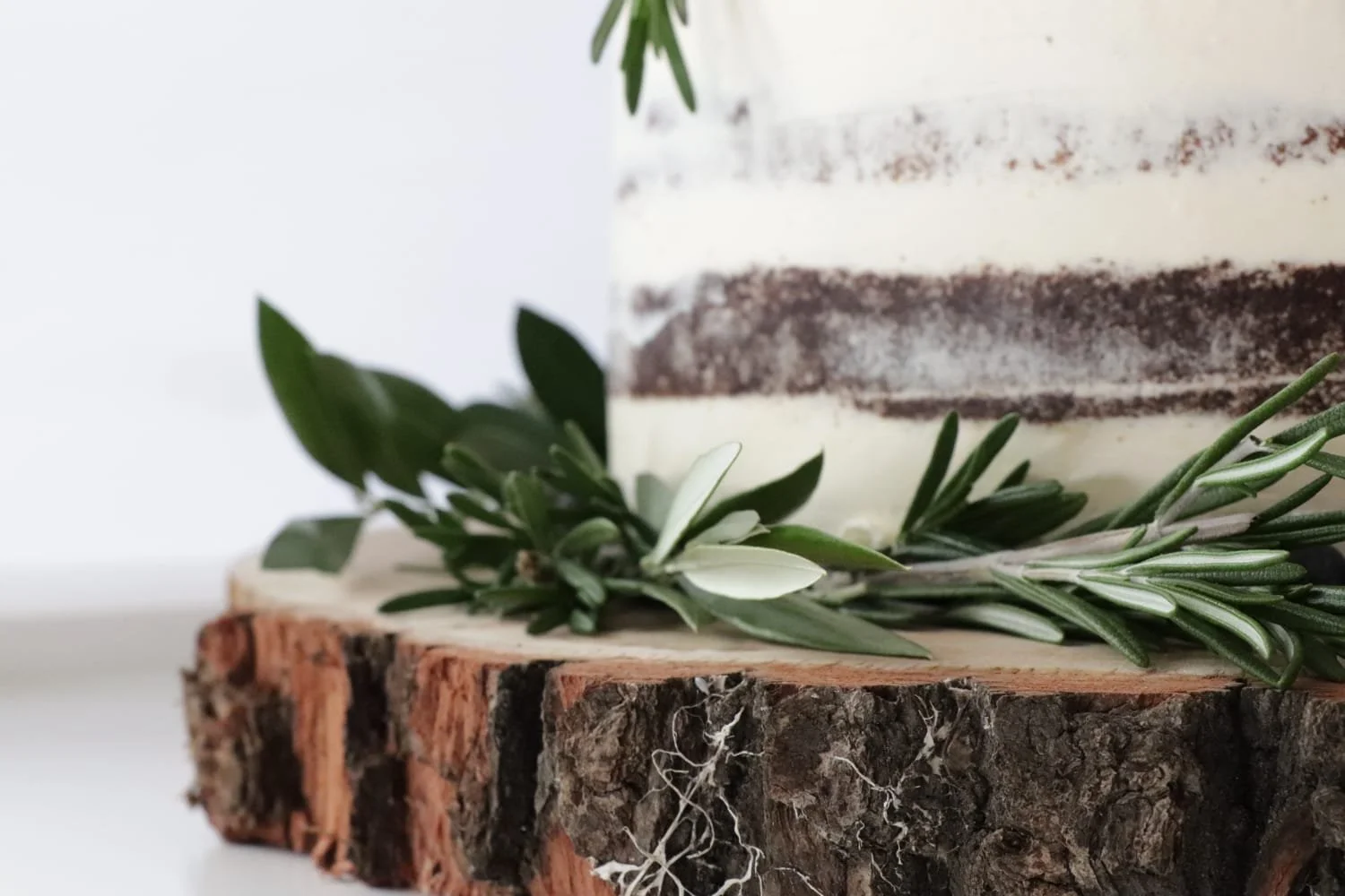 WhatsApp Image 2026-01-26 at 12.17.47 (1).jpeg