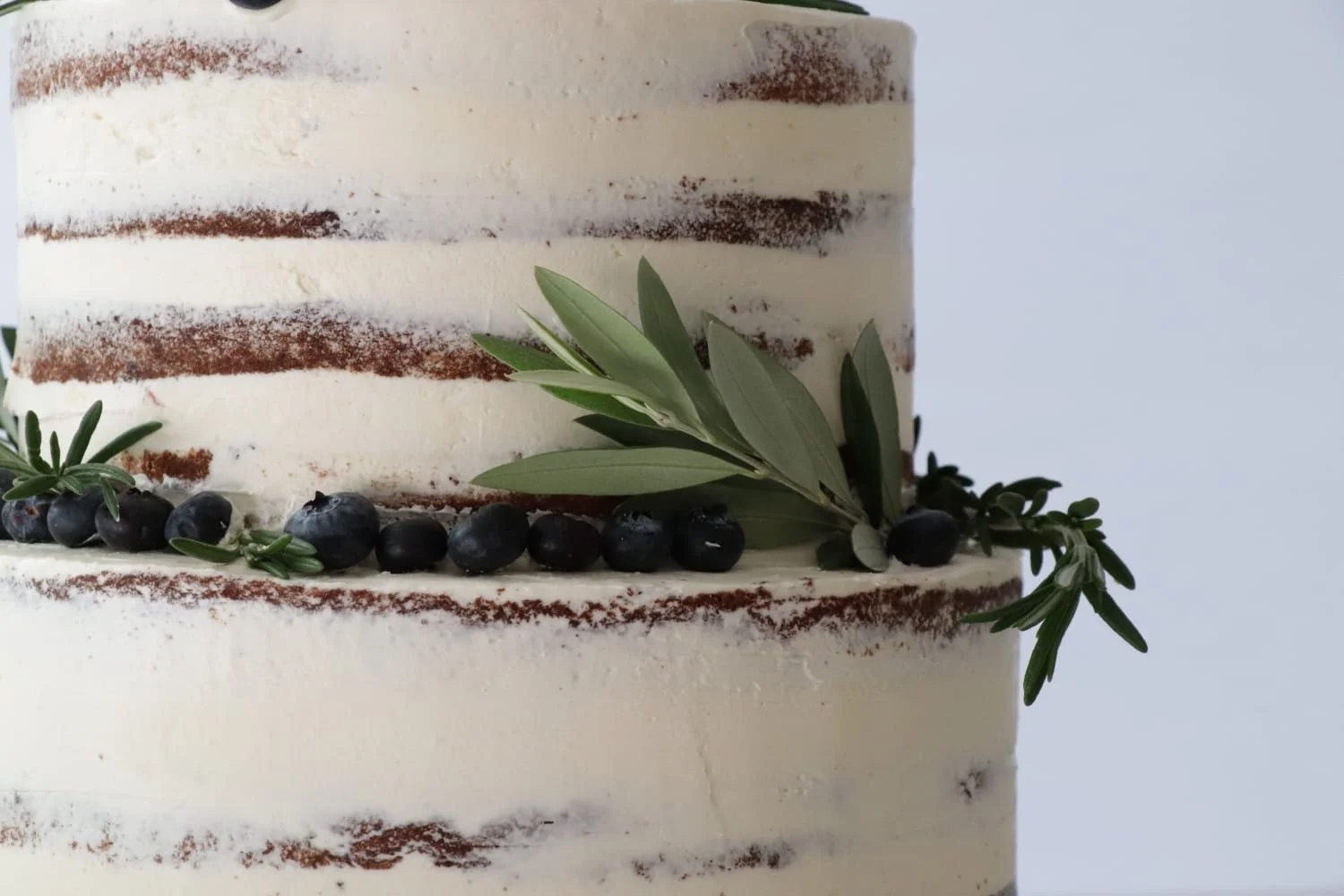 WhatsApp Image 2026-01-26 at 12.17.46.jpeg