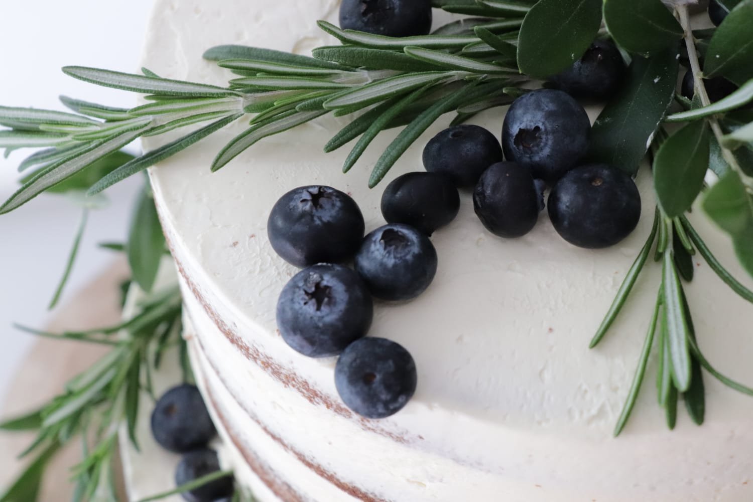 WhatsApp Image 2026-01-26 at 12.17.47 (2).jpeg