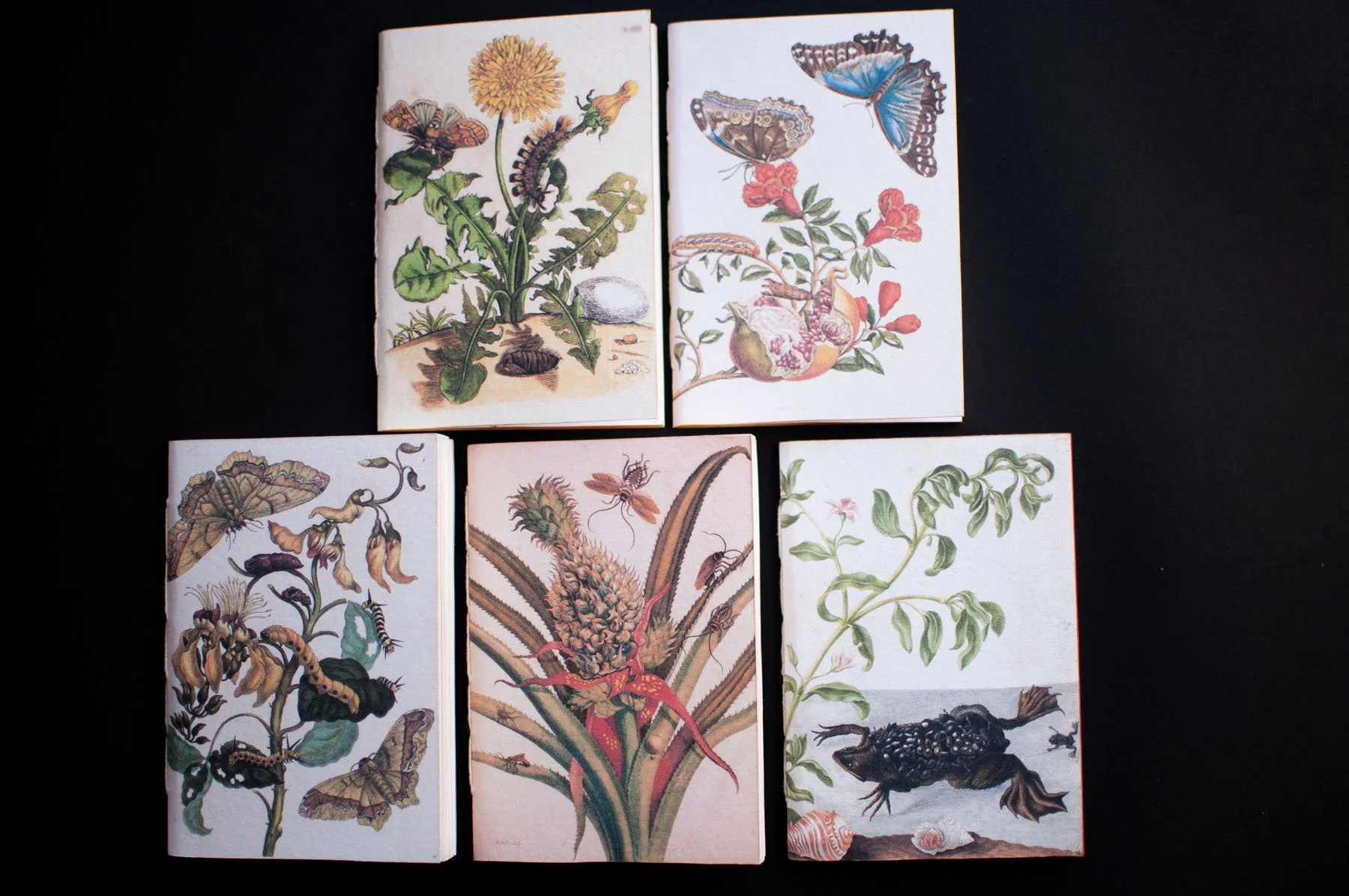 Five notebook with covers of vintage botanical illustrations of insects, flowers, and plants displayed on a black background.