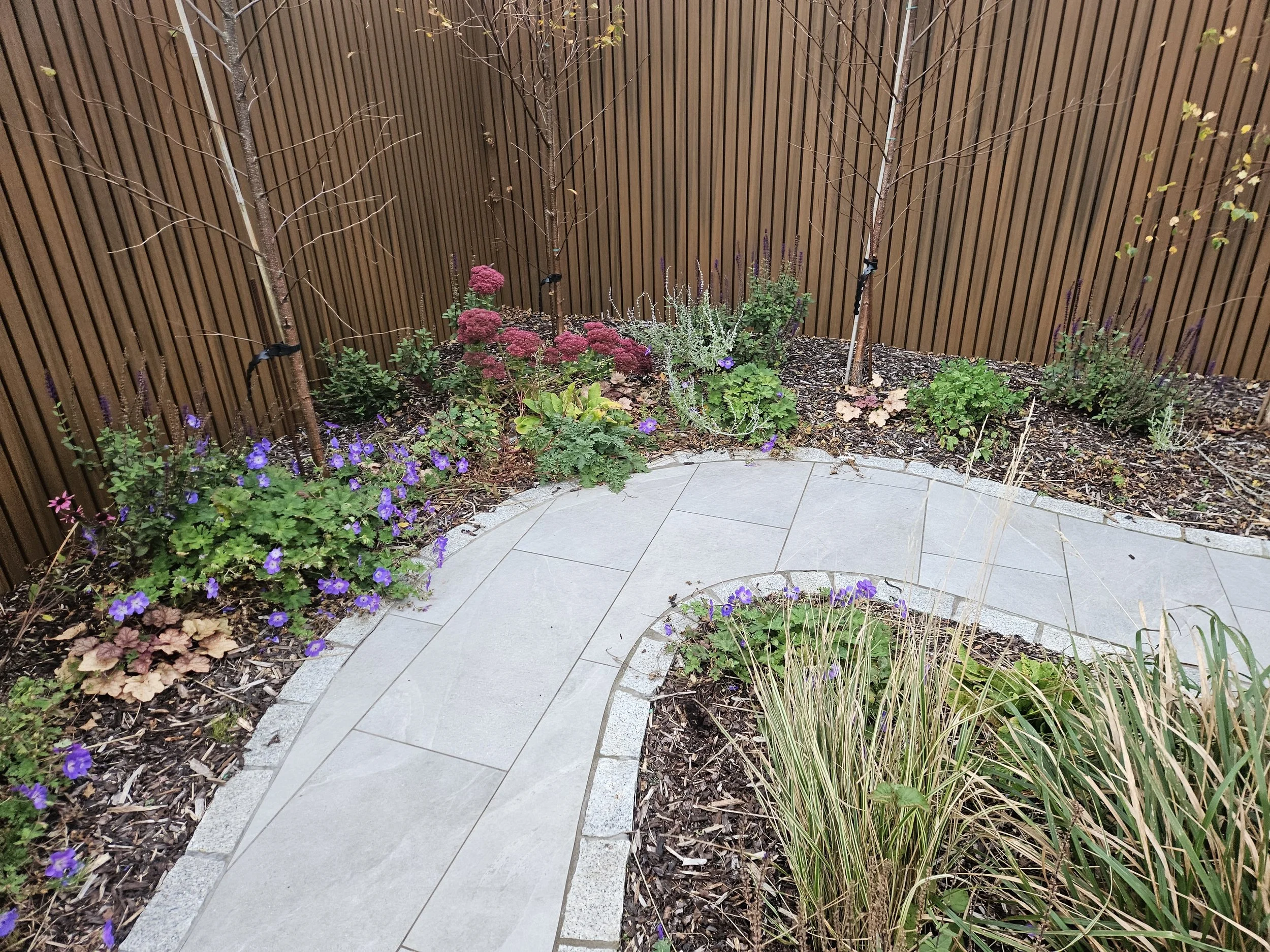 A garden with a curved concrete pathway edged with small stone bricks, surrounded by various purple, pink, and green plants, and enclosed by a brown wooden fence.