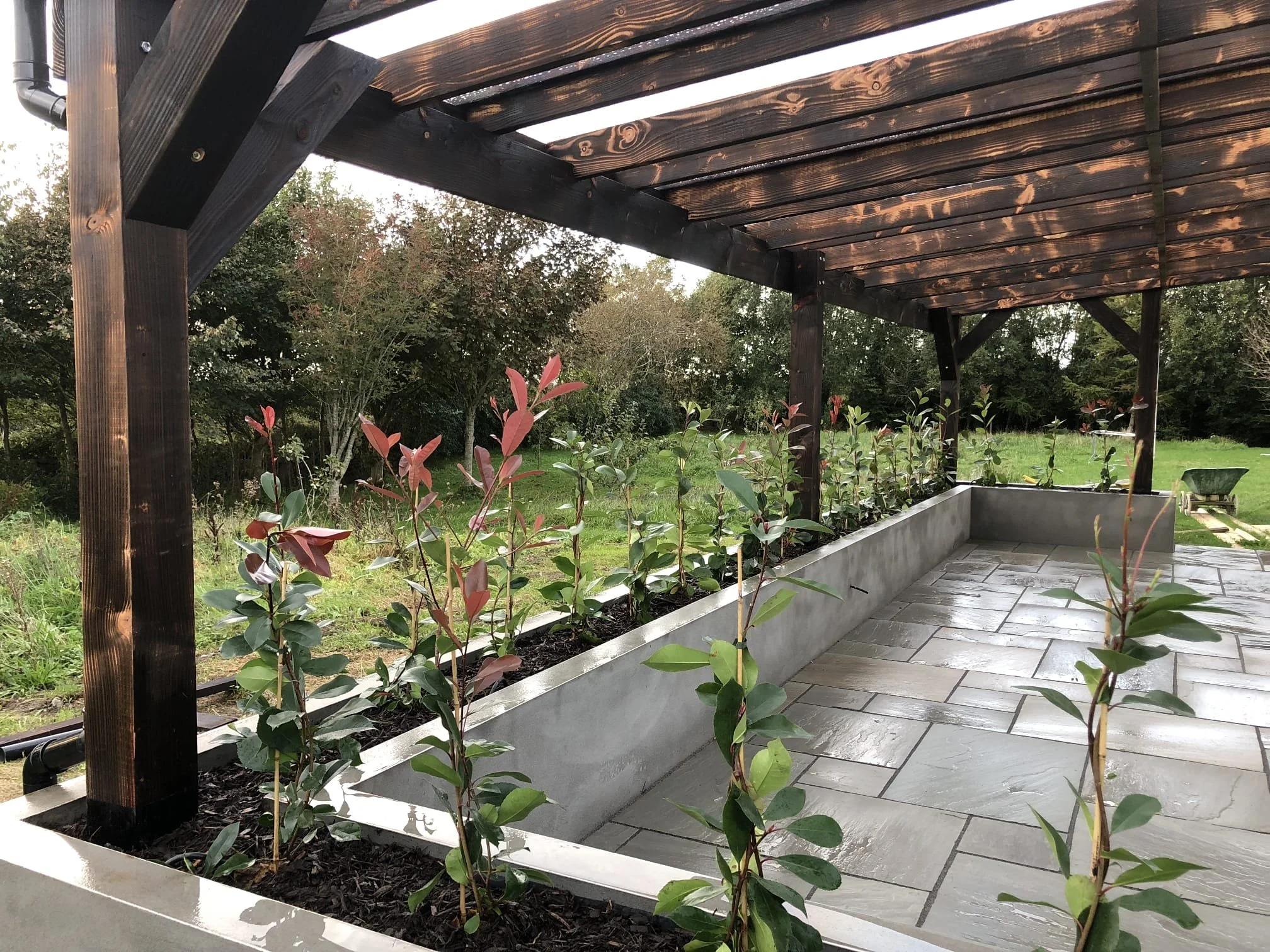 A wooden pergola with a slatted roof, covering a concrete patio with a built-in planter filled with small plants or bushes. The background features a lush green yard with trees and grass.