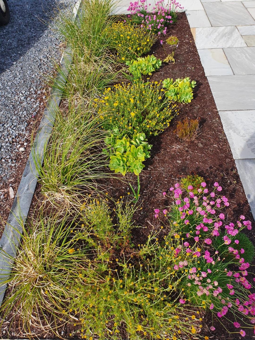 A garden bed with a variety of flowering plants and green foliage along a paved sidewalk. The plants include pink, yellow, and green colors, with mulch covering the soil.