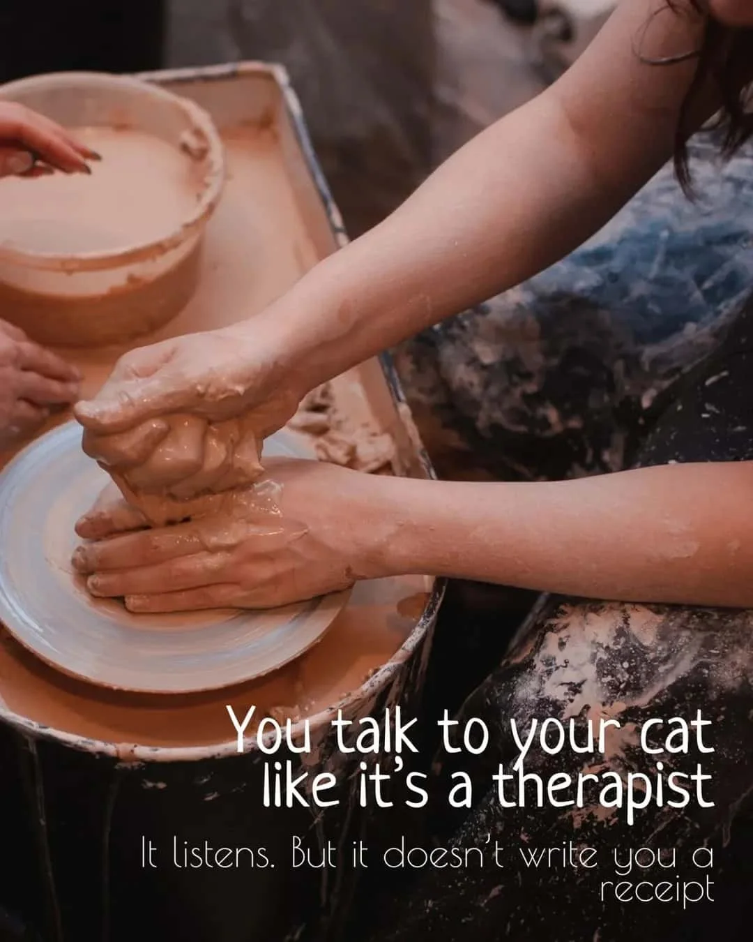 You talk to your cat like it's a therapist
It listens. But it doesn't write you a
receipt   