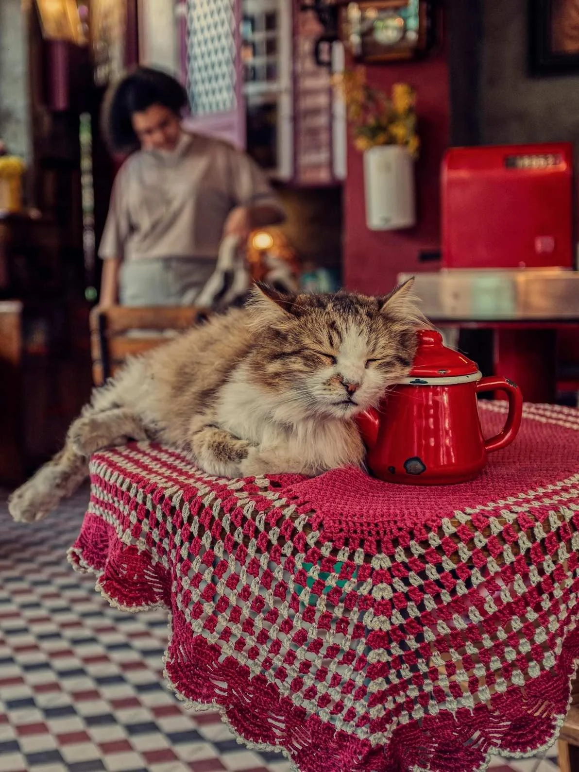 Local SEO for Cat Cafés: Tips From a Cat Writer